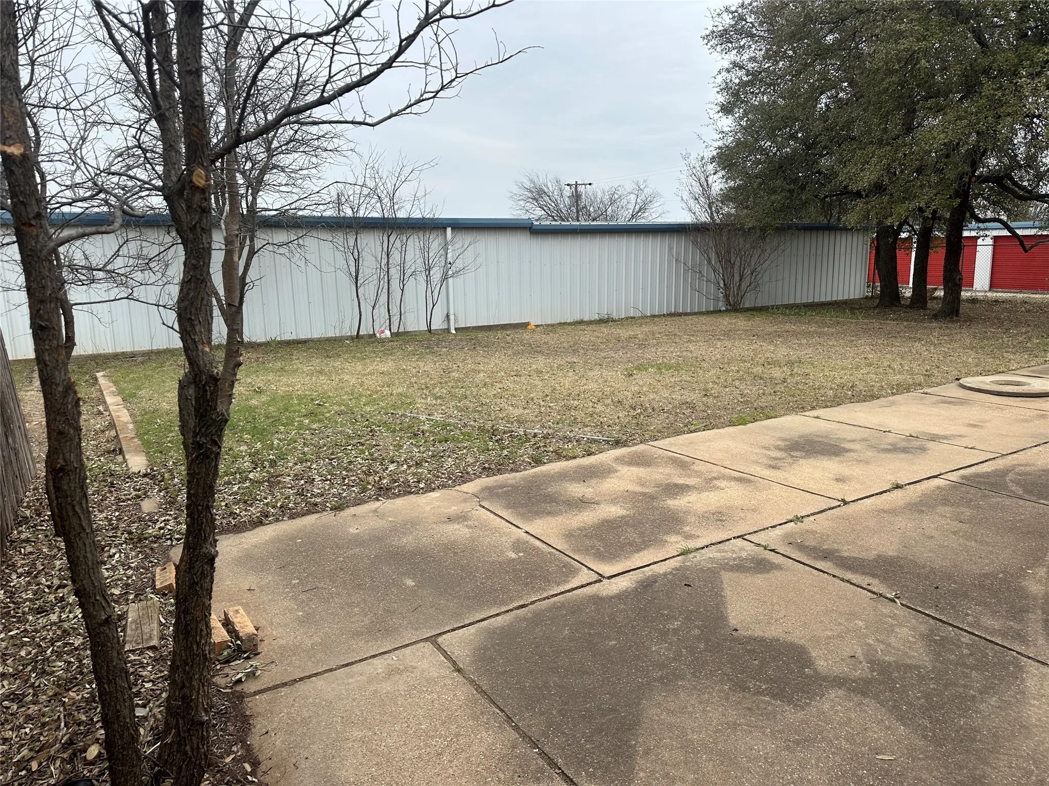 View of grassy yard
