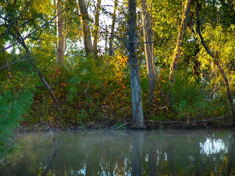 Unimproved Land For Sale in Taylor County , 401 Loop 322, Abilene, Texas 79601, 0, 0, Garage spaces, 0 Sqft, built in 0, mls#21145641, Real Estate Agent in Abilene, Homes For Sale in Taylor county, Homes For Sale in Abilene, Realtor in Abilene Texas, Real Estate Brokerage Independent Realty Texas, Luminita Cordes Realtor