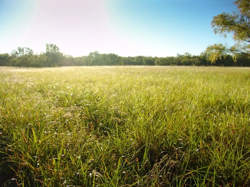 Unimproved Land For Sale in Taylor County , 401 Loop 322, Abilene, Texas 79601, 0, 0, Garage spaces, 0 Sqft, built in 0, mls#21145641, Real Estate Agent in Abilene, Homes For Sale in Taylor county, Homes For Sale in Abilene, Realtor in Abilene Texas, Real Estate Brokerage Independent Realty Texas, Luminita Cordes Realtor