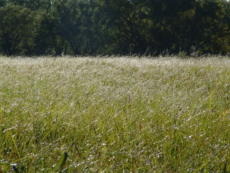 Unimproved Land For Sale in Taylor County , 401 Loop 322, Abilene, Texas 79601, 0, 0, Garage spaces, 0 Sqft, built in 0, mls#21145641, Real Estate Agent in Abilene, Homes For Sale in Taylor county, Homes For Sale in Abilene, Realtor in Abilene Texas, Real Estate Brokerage Independent Realty Texas, Luminita Cordes Realtor