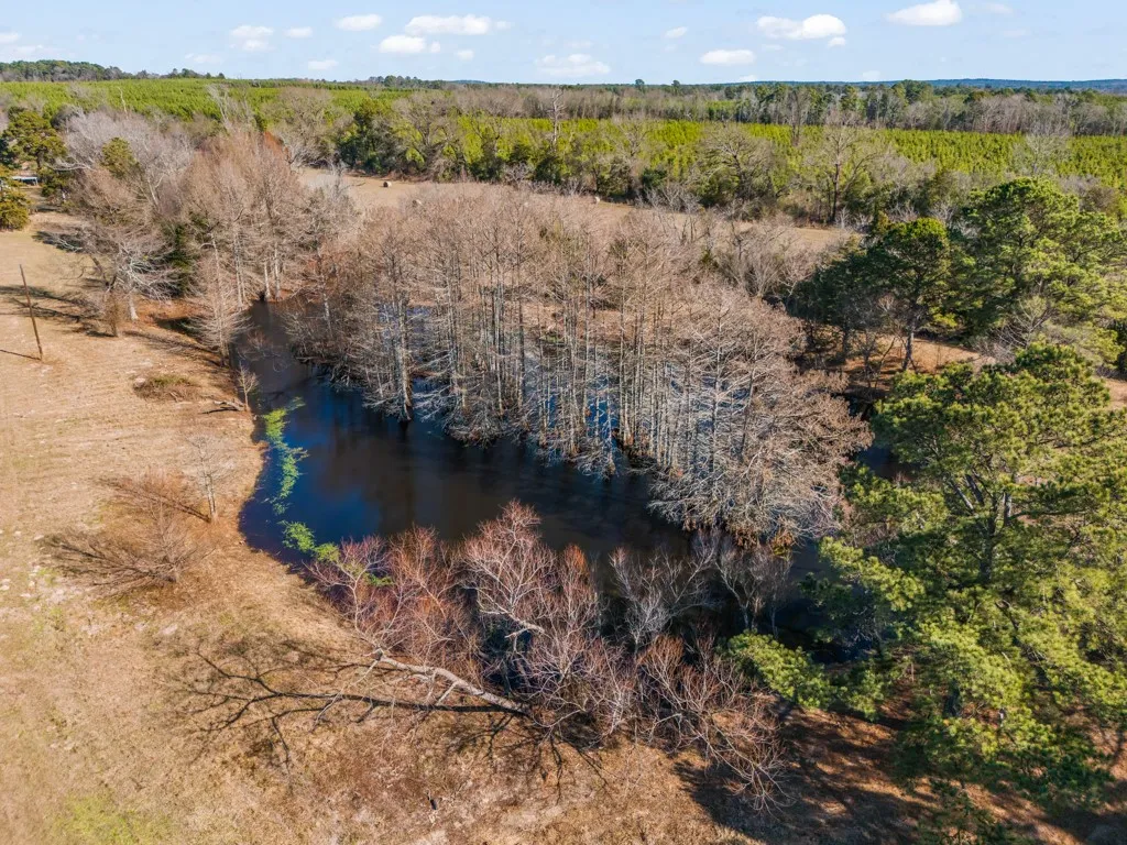 Bird's eye view of a body of water