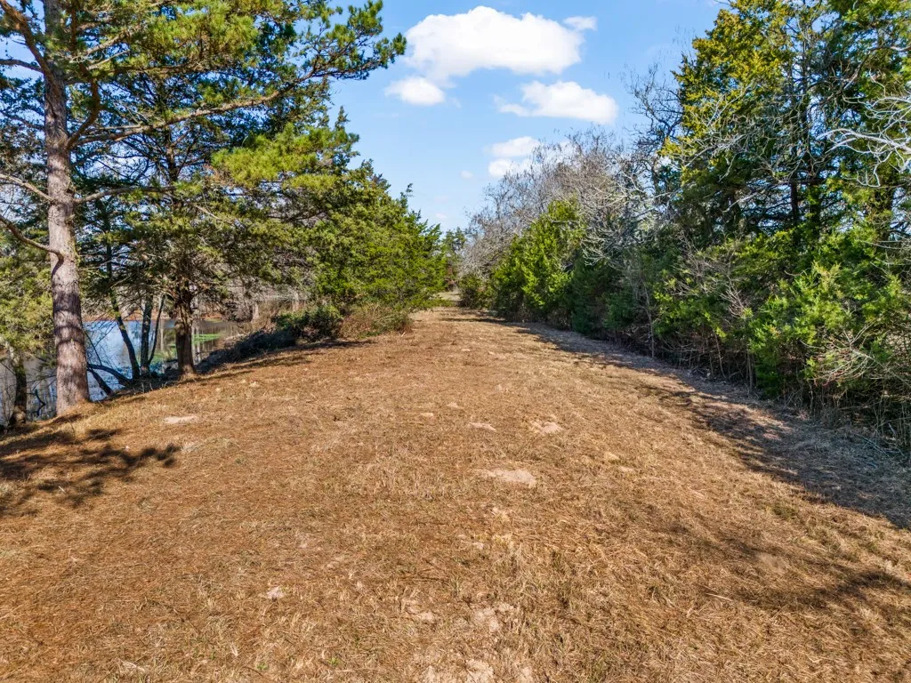 View of pasture.