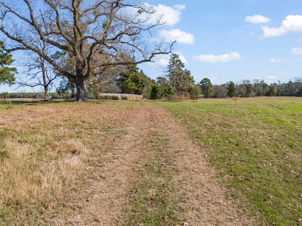 View of yard with a view of rural / pastoral area