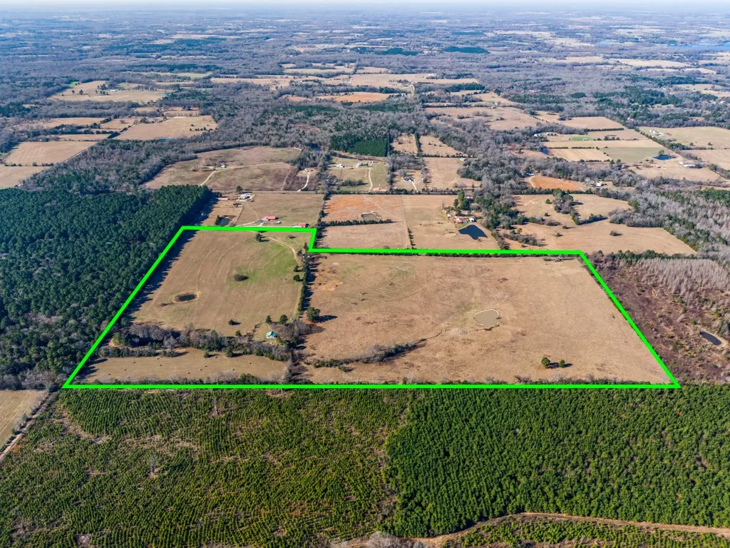 Ranch For Sale in Wood County , 255 CR 4645, Winnsboro, Texas 75494, 0, 0, Garage spaces, 0 Sqft, built in 2008, Price $945,000, mls#21145874, Real Estate Agent in Winnsboro, Homes For Sale in Wood county, Homes For Sale in Winnsboro, Realtor in Winnsboro Texas, Real Estate Brokerage Independent Realty Texas, Luminita Cordes Realtor