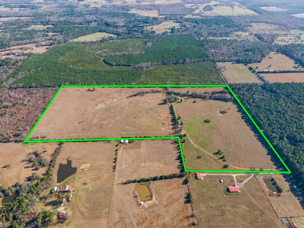 Ranch For Sale in Wood County , 255 CR 4645, Winnsboro, Texas 75494, 0, 0, Garage spaces, 0 Sqft, built in 2008, Price $945,000, mls#21145874, Real Estate Agent in Winnsboro, Homes For Sale in Wood county, Homes For Sale in Winnsboro, Realtor in Winnsboro Texas, Real Estate Brokerage Independent Realty Texas, Luminita Cordes Realtor