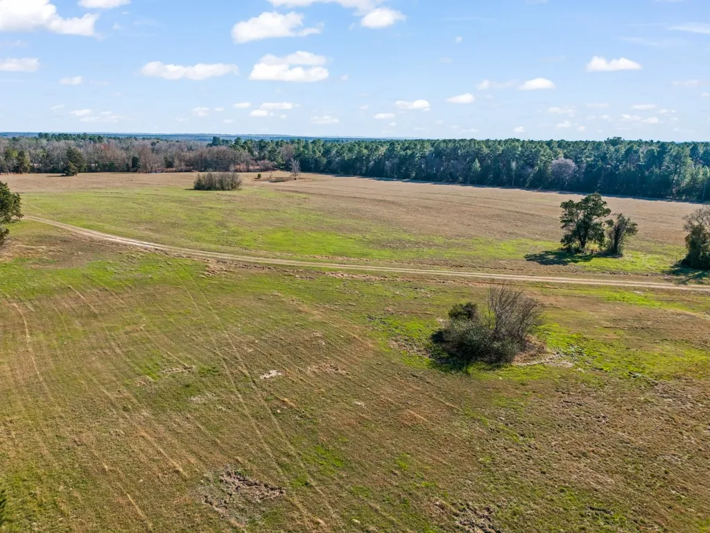 Overview of rural landscape