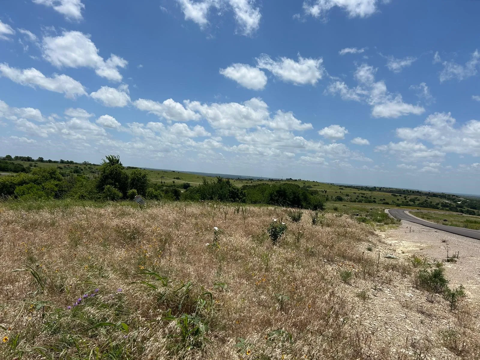 Unimproved Land For Sale in Hood County , 2521 Tom Chaney Drive 104, Cresson, Texas 76035, 0, 0, Garage spaces, 0 Sqft, built in 0, Price $142,000, mls#21145964, Real Estate Agent in Cresson, Homes For Sale in Hood county, Homes For Sale in Cresson, Realtor in Cresson Texas, Real Estate Brokerage Independent Realty Texas, Luminita Cordes Realtor