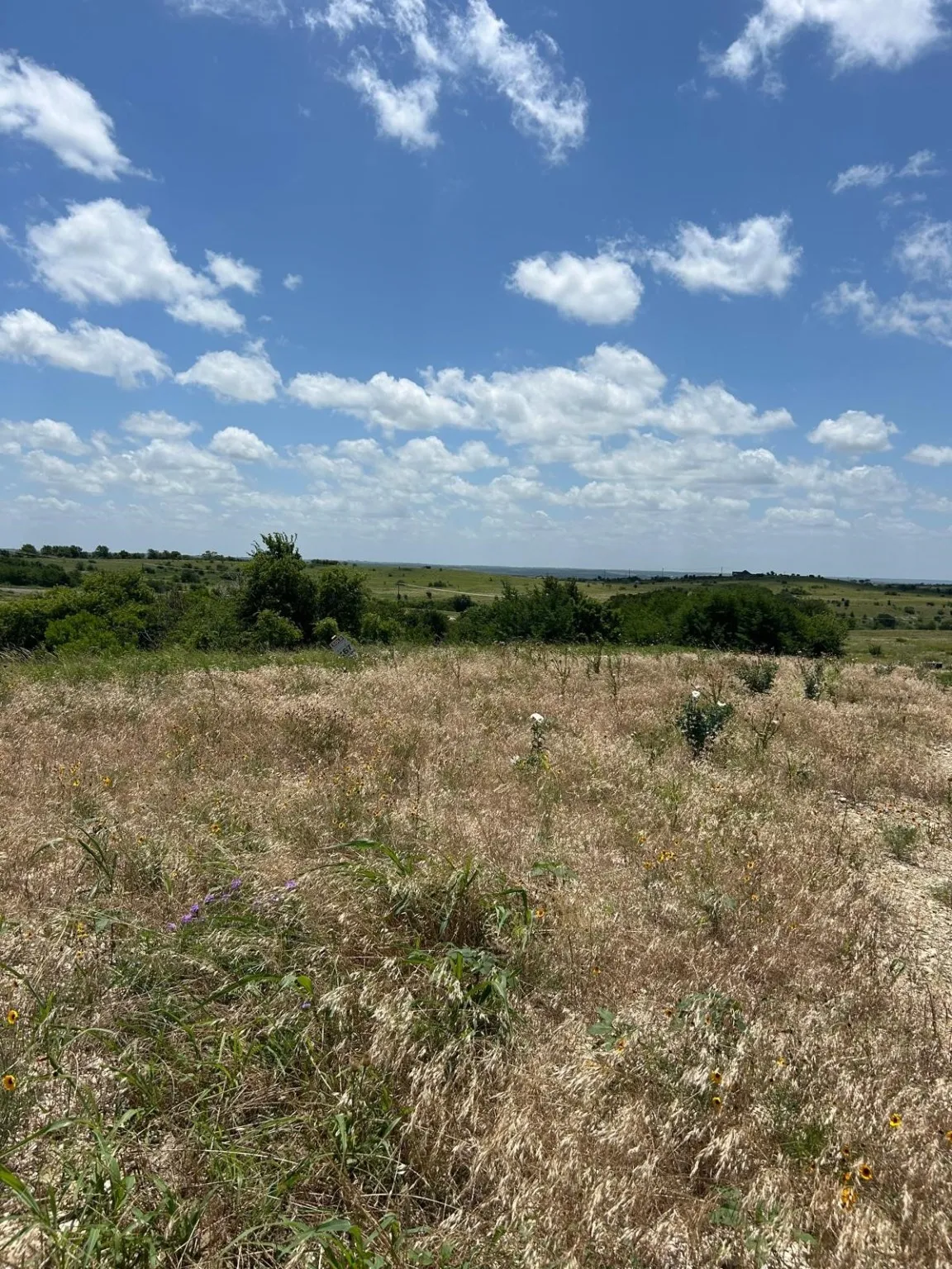 Unimproved Land For Sale in Hood County , 2521 Tom Chaney Drive 104, Cresson, Texas 76035, 0, 0, Garage spaces, 0 Sqft, built in 0, Price $142,000, mls#21145964, Real Estate Agent in Cresson, Homes For Sale in Hood county, Homes For Sale in Cresson, Realtor in Cresson Texas, Real Estate Brokerage Independent Realty Texas, Luminita Cordes Realtor