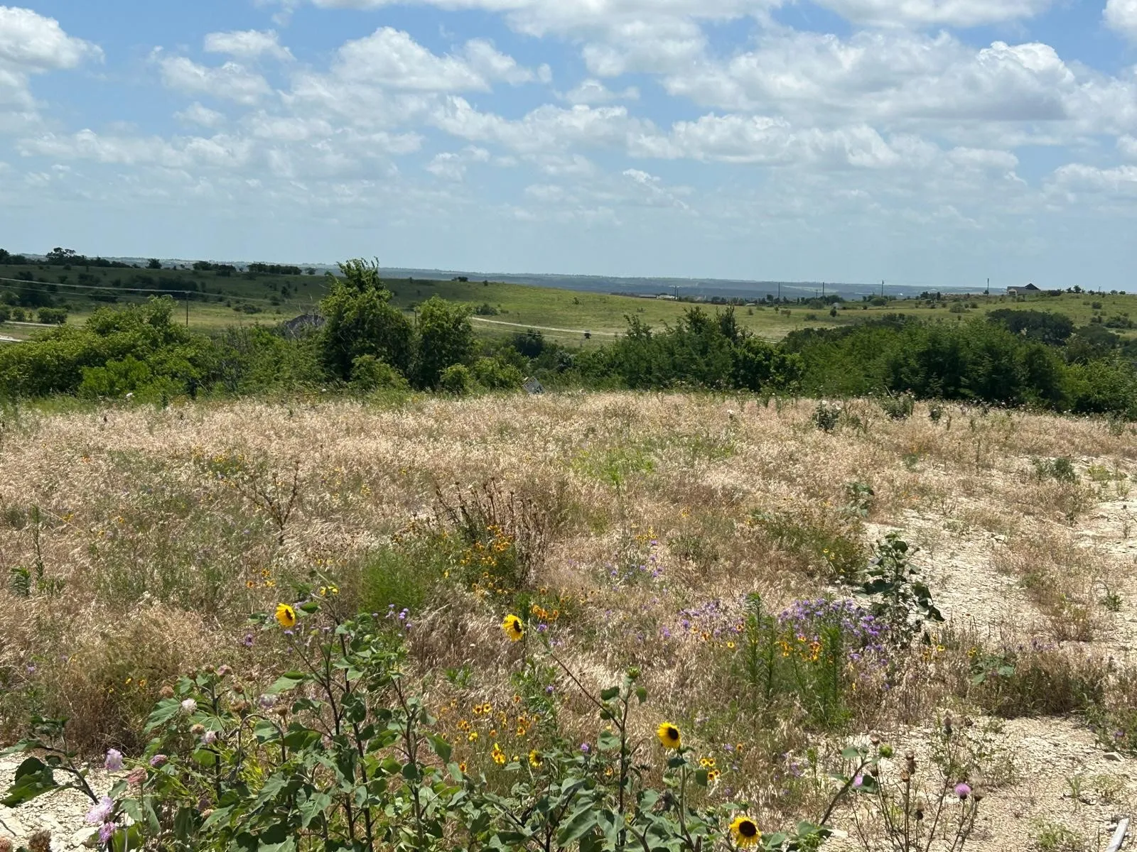 Unimproved Land For Sale in Hood County , 2521 Tom Chaney Drive 104, Cresson, Texas 76035, 0, 0, Garage spaces, 0 Sqft, built in 0, Price $142,000, mls#21145964, Real Estate Agent in Cresson, Homes For Sale in Hood county, Homes For Sale in Cresson, Realtor in Cresson Texas, Real Estate Brokerage Independent Realty Texas, Luminita Cordes Realtor