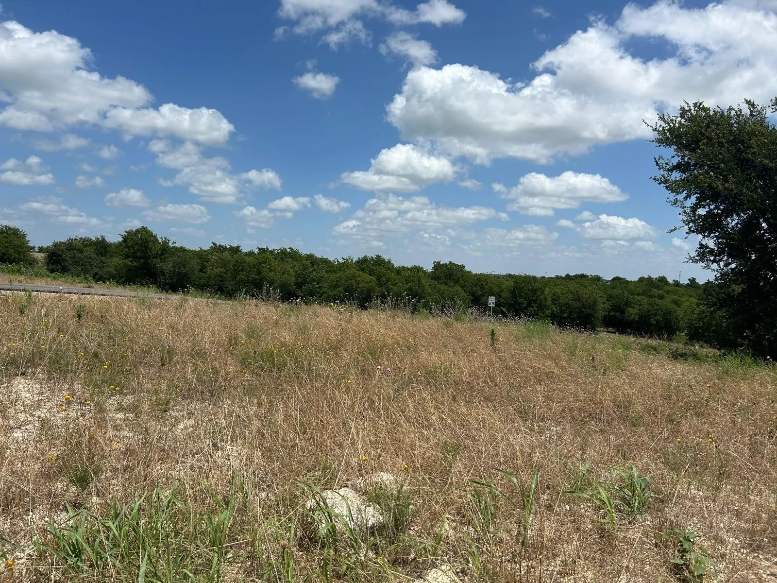 Unimproved Land For Sale in Hood County , 2521 Tom Chaney Drive 104, Cresson, Texas 76035, 0, 0, Garage spaces, 0 Sqft, built in 0, Price $142,000, mls#21145964, Real Estate Agent in Cresson, Homes For Sale in Hood county, Homes For Sale in Cresson, Realtor in Cresson Texas, Real Estate Brokerage Independent Realty Texas, Luminita Cordes Realtor