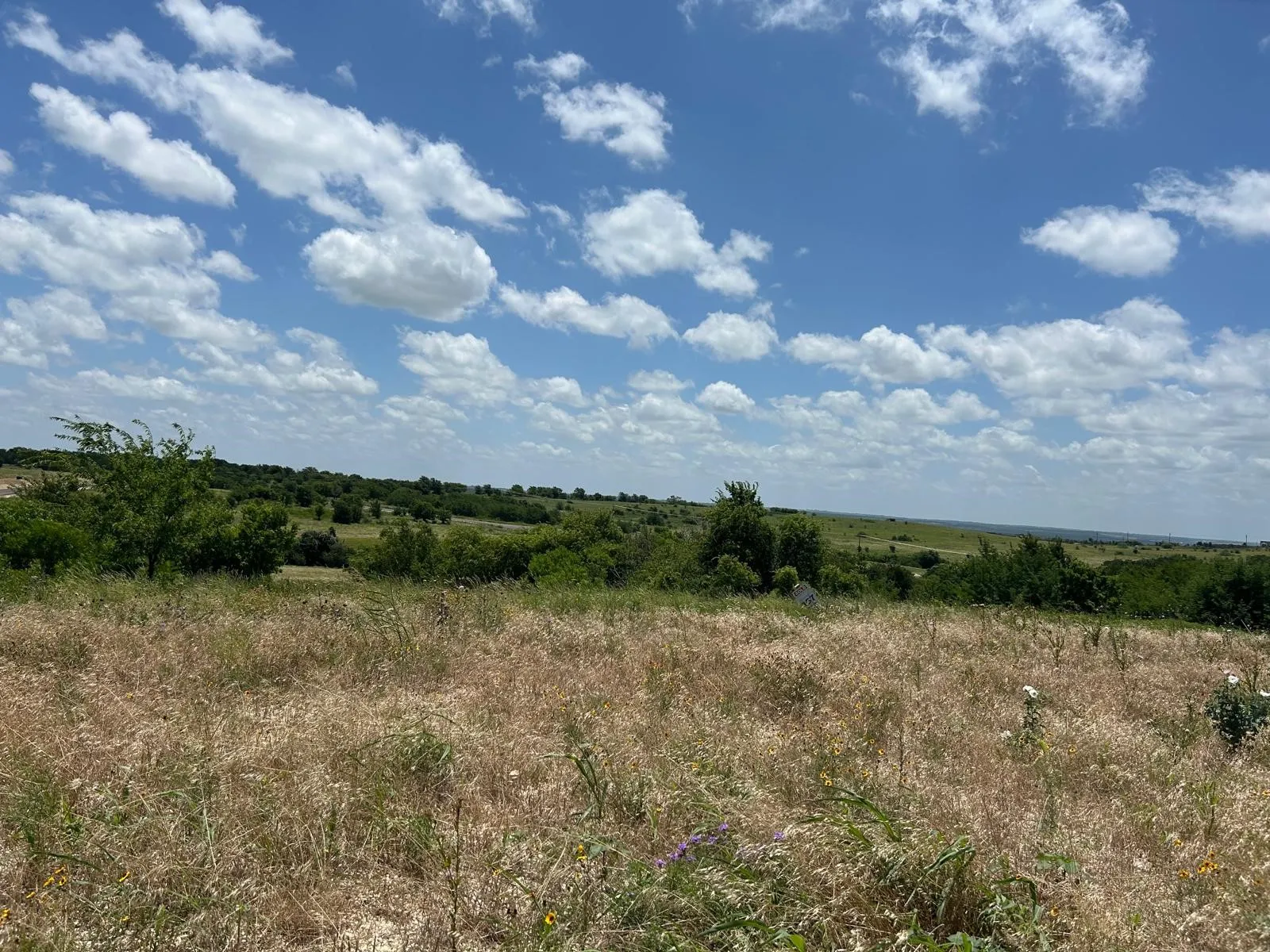 Unimproved Land For Sale in Hood County , 2521 Tom Chaney Drive 104, Cresson, Texas 76035, 0, 0, Garage spaces, 0 Sqft, built in 0, Price $142,000, mls#21145964, Real Estate Agent in Cresson, Homes For Sale in Hood county, Homes For Sale in Cresson, Realtor in Cresson Texas, Real Estate Brokerage Independent Realty Texas, Luminita Cordes Realtor