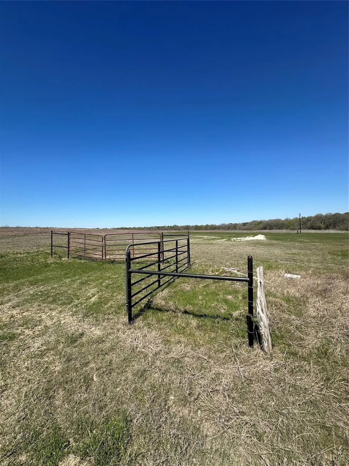 Unimproved Land For Sale in Hill County , 1137 County Road 3373, Hubbard, Texas 76648, 0, 0, Garage spaces, 0 Sqft, built in 0, mls#21145973, Real Estate Agent in Hubbard, Homes For Sale in Hill county, Homes For Sale in Hubbard, Realtor in Hubbard Texas, Real Estate Brokerage Independent Realty Texas, Luminita Cordes Realtor