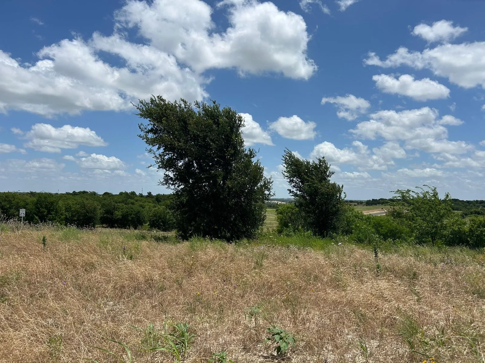 For Sale in Hood County , 2517 Tom Chaney Drive 103, Cresson, Texas 76035, 0, 0, Garage spaces, 0 Sqft, built in 0, Price $190,792, mls#21145991, Real Estate Agent in Cresson, Homes For Sale in Hood county, Homes For Sale in Cresson, Realtor in Cresson Texas, Real Estate Brokerage Independent Realty Texas, Luminita Cordes Realtor