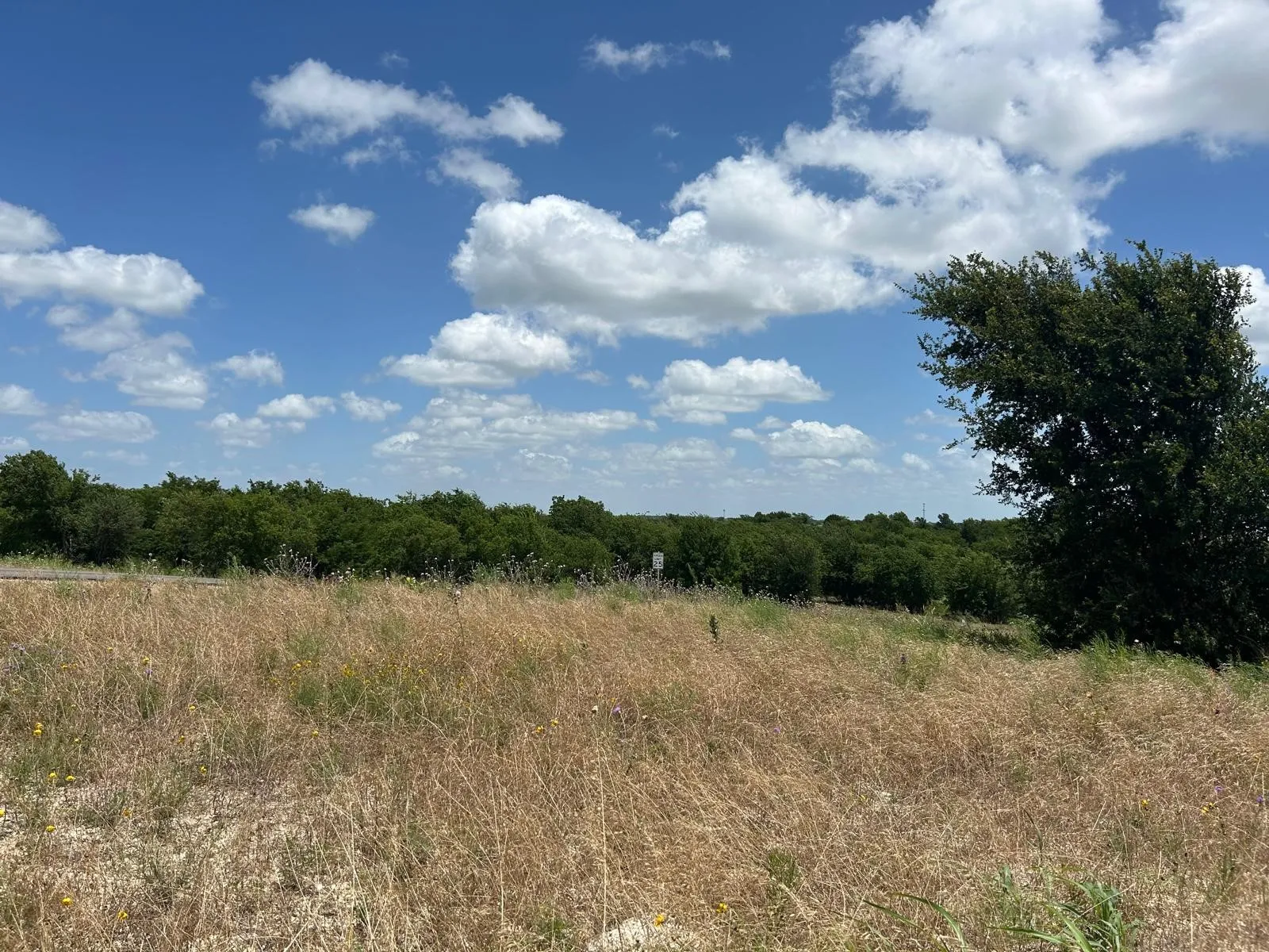 For Sale in Hood County , 2517 Tom Chaney Drive 103, Cresson, Texas 76035, 0, 0, Garage spaces, 0 Sqft, built in 0, Price $190,792, mls#21145991, Real Estate Agent in Cresson, Homes For Sale in Hood county, Homes For Sale in Cresson, Realtor in Cresson Texas, Real Estate Brokerage Independent Realty Texas, Luminita Cordes Realtor