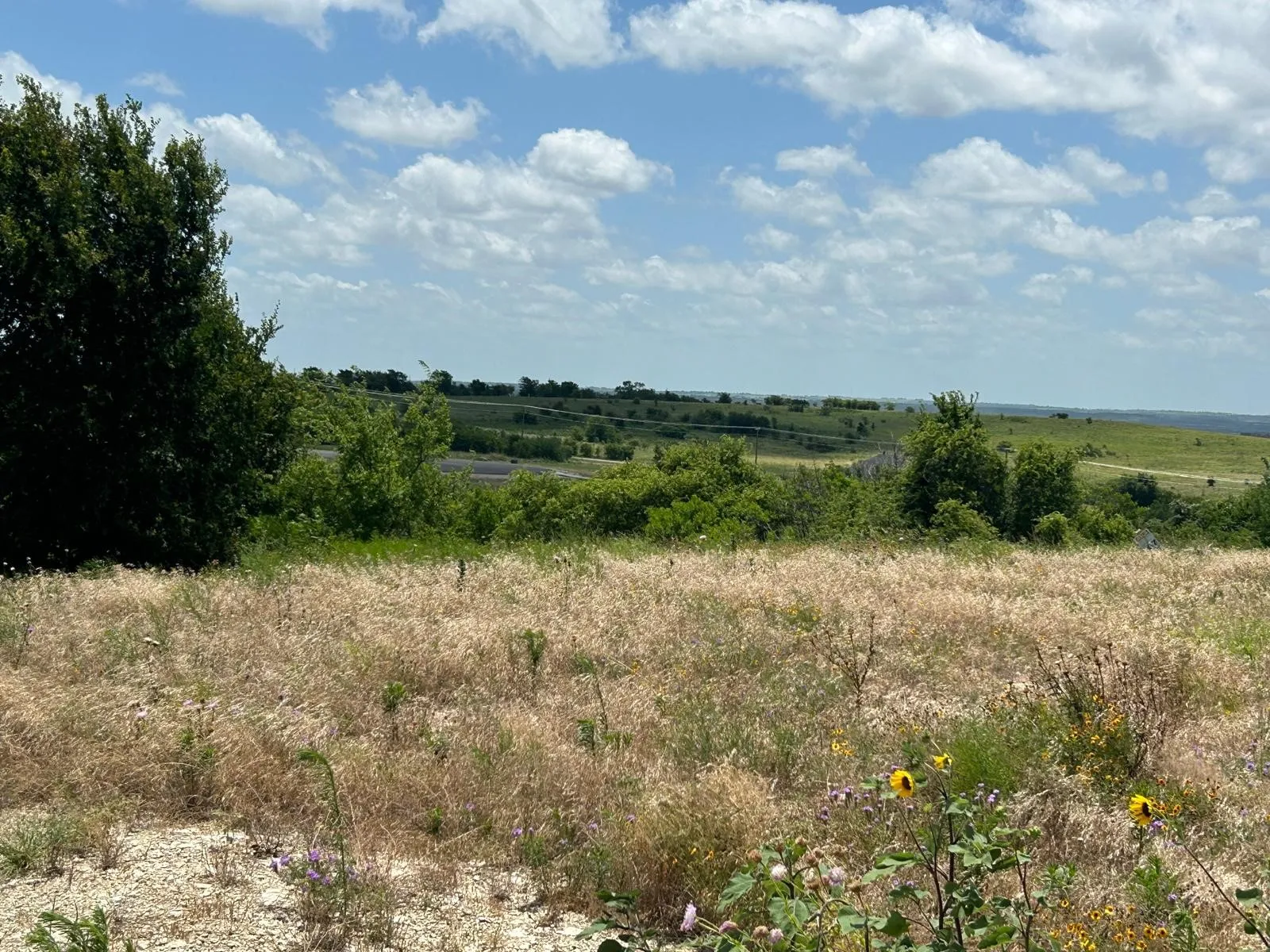 For Sale in Hood County , 2517 Tom Chaney Drive 103, Cresson, Texas 76035, 0, 0, Garage spaces, 0 Sqft, built in 0, Price $190,792, mls#21145991, Real Estate Agent in Cresson, Homes For Sale in Hood county, Homes For Sale in Cresson, Realtor in Cresson Texas, Real Estate Brokerage Independent Realty Texas, Luminita Cordes Realtor