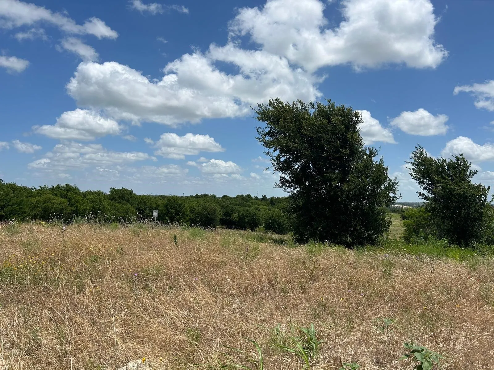 For Sale in Hood County , 2517 Tom Chaney Drive 103, Cresson, Texas 76035, 0, 0, Garage spaces, 0 Sqft, built in 0, Price $190,792, mls#21145991, Real Estate Agent in Cresson, Homes For Sale in Hood county, Homes For Sale in Cresson, Realtor in Cresson Texas, Real Estate Brokerage Independent Realty Texas, Luminita Cordes Realtor