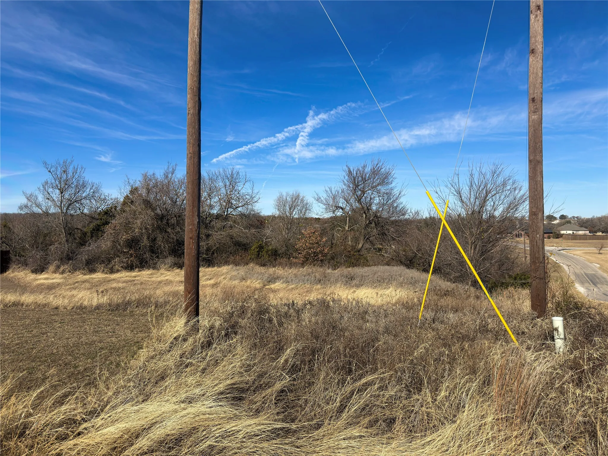 Another view of the upper portion of the property where a home would sit.