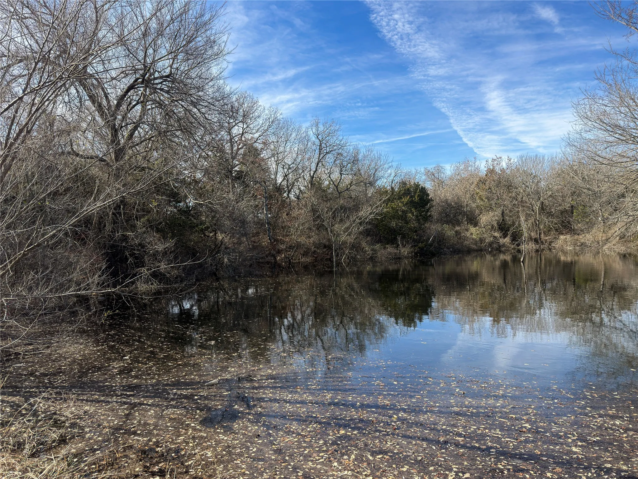 It's possible with the clearing of the brush from the tree line, a home would have a nice view of the pond/creek.