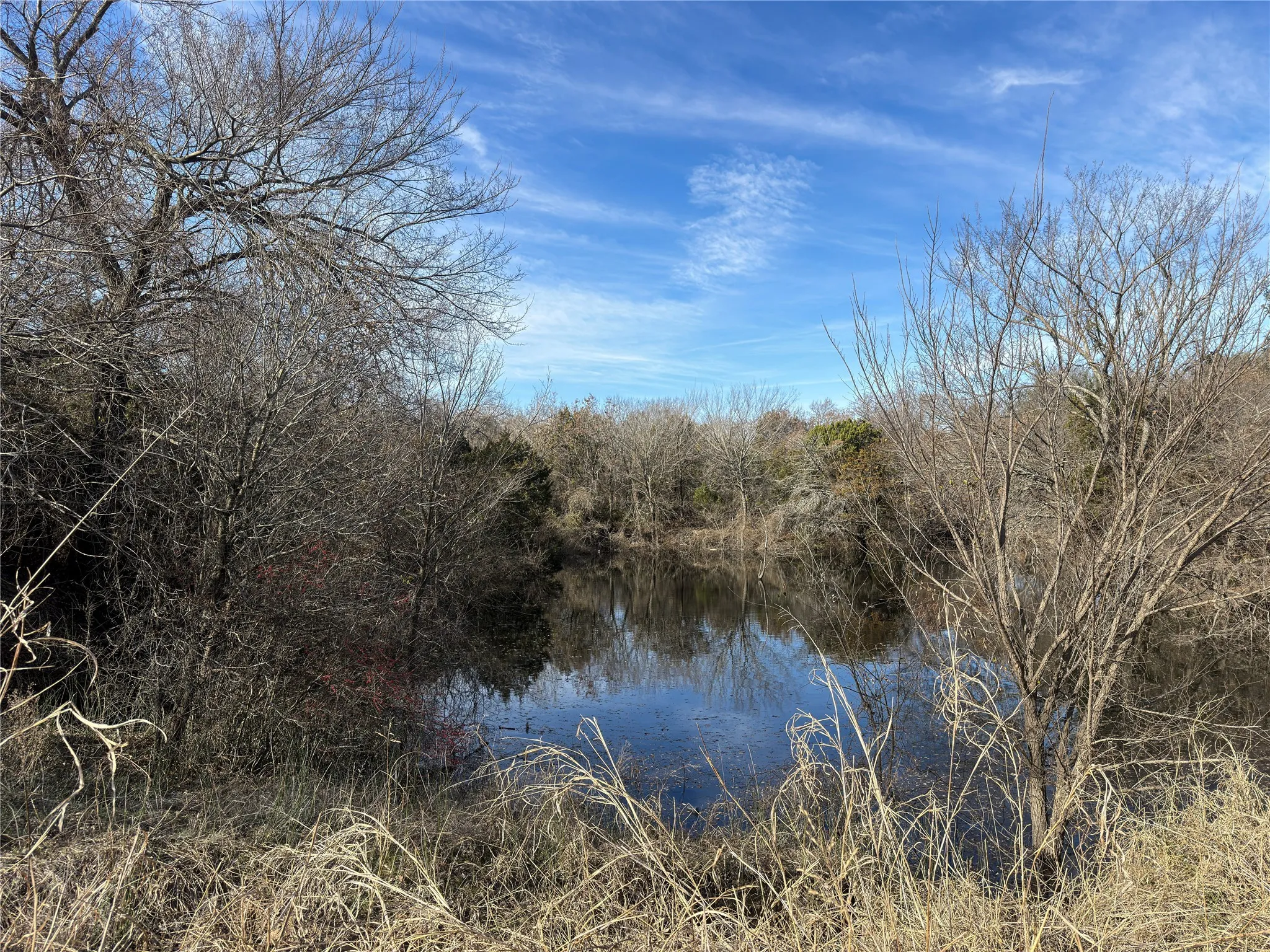 Photo of the pond/creek that is partially located within the boundary lines of the property.