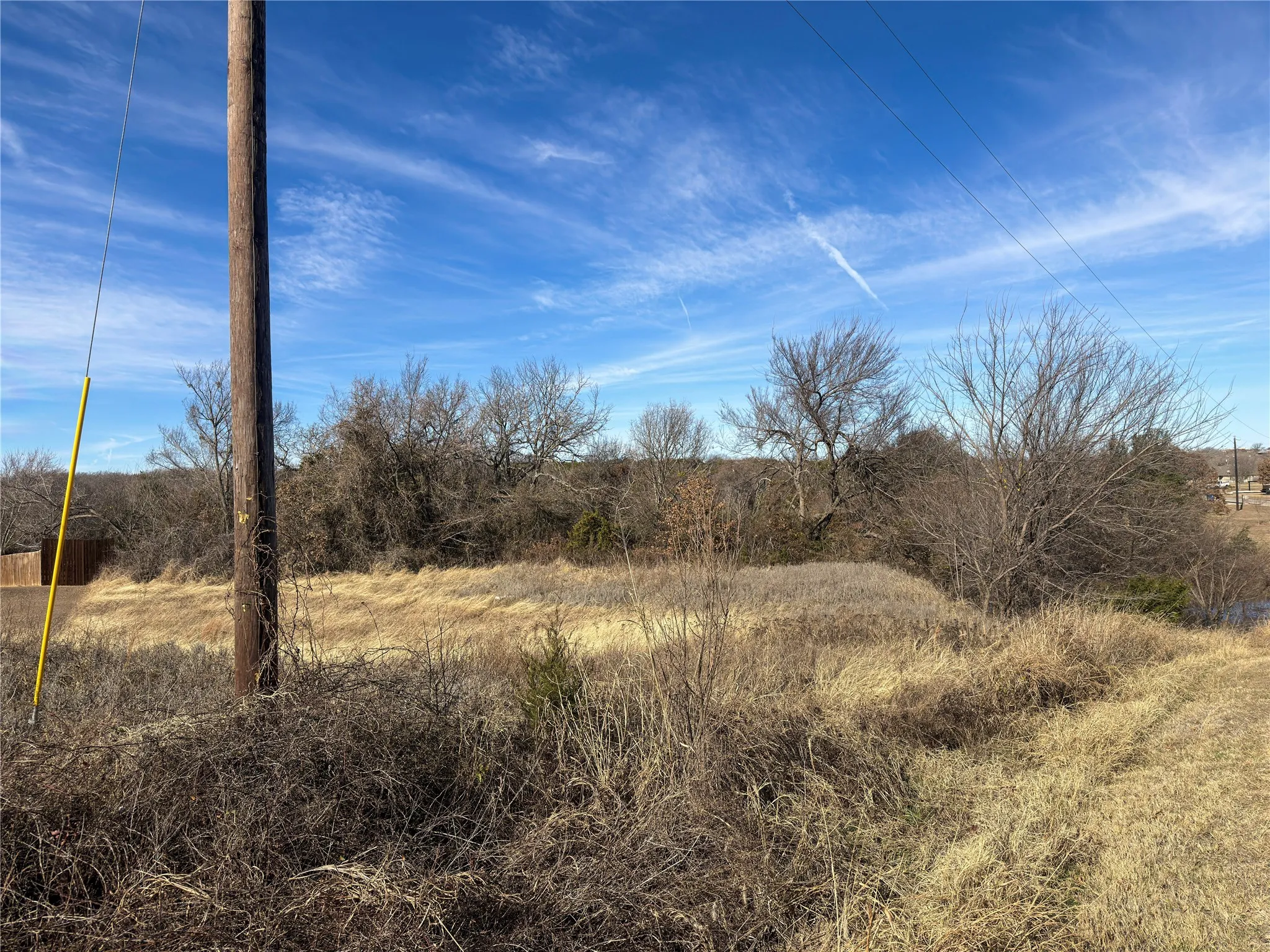 Looking at the left side of the photo, the boundary line is approximately where you see the mowed portion of the other property.