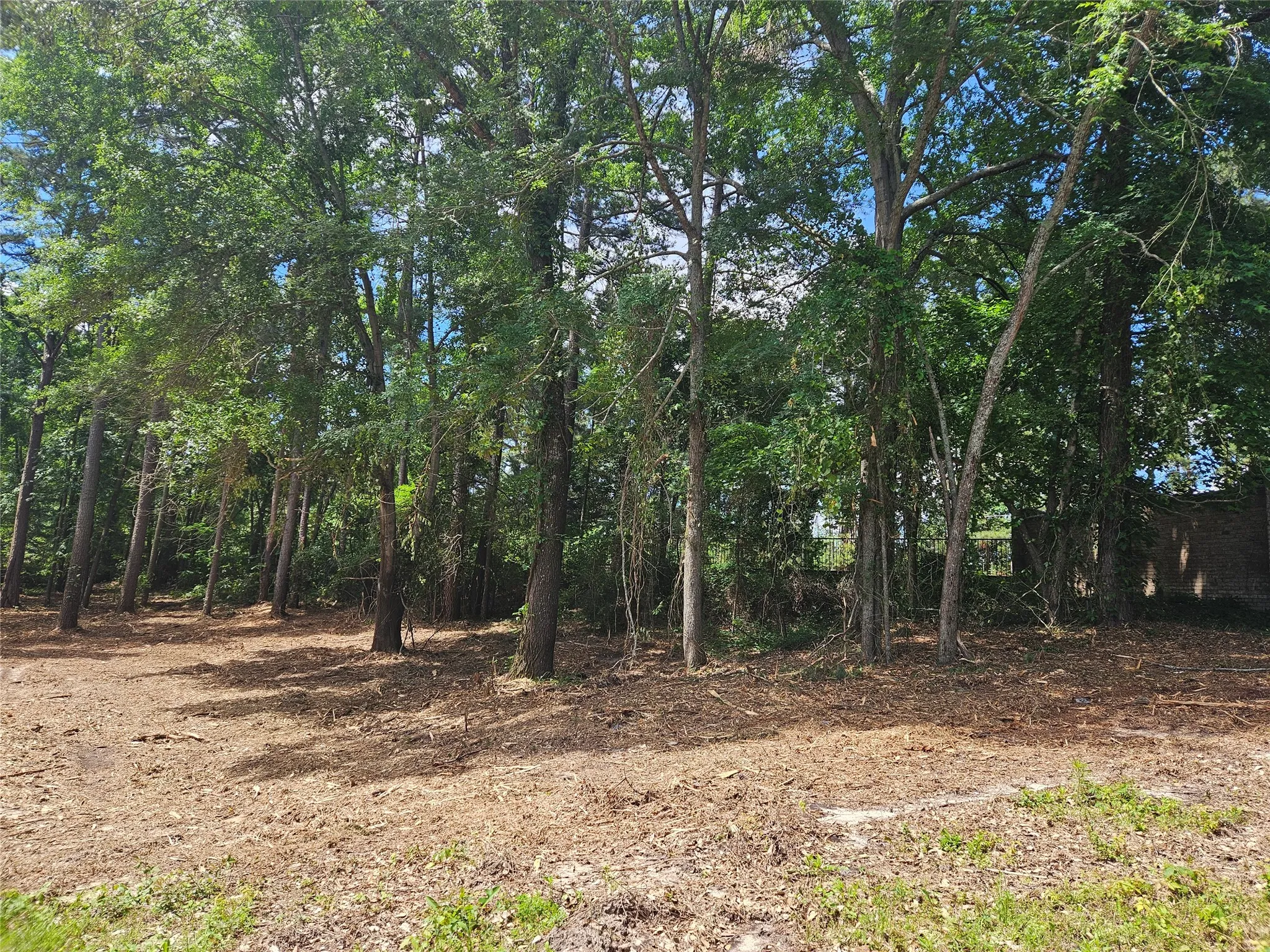 Unimproved Land For Sale in Smith County , 13311 White Tail Drive 1, Tyler, Texas 75707, 0, 0, Garage spaces, 0 Sqft, built in 0, Price $47,000, mls#21146347, Real Estate Agent in Tyler, Homes For Sale in Smith county, Homes For Sale in Tyler, Realtor in Tyler Texas, Real Estate Brokerage Independent Realty Texas, Luminita Cordes Realtor