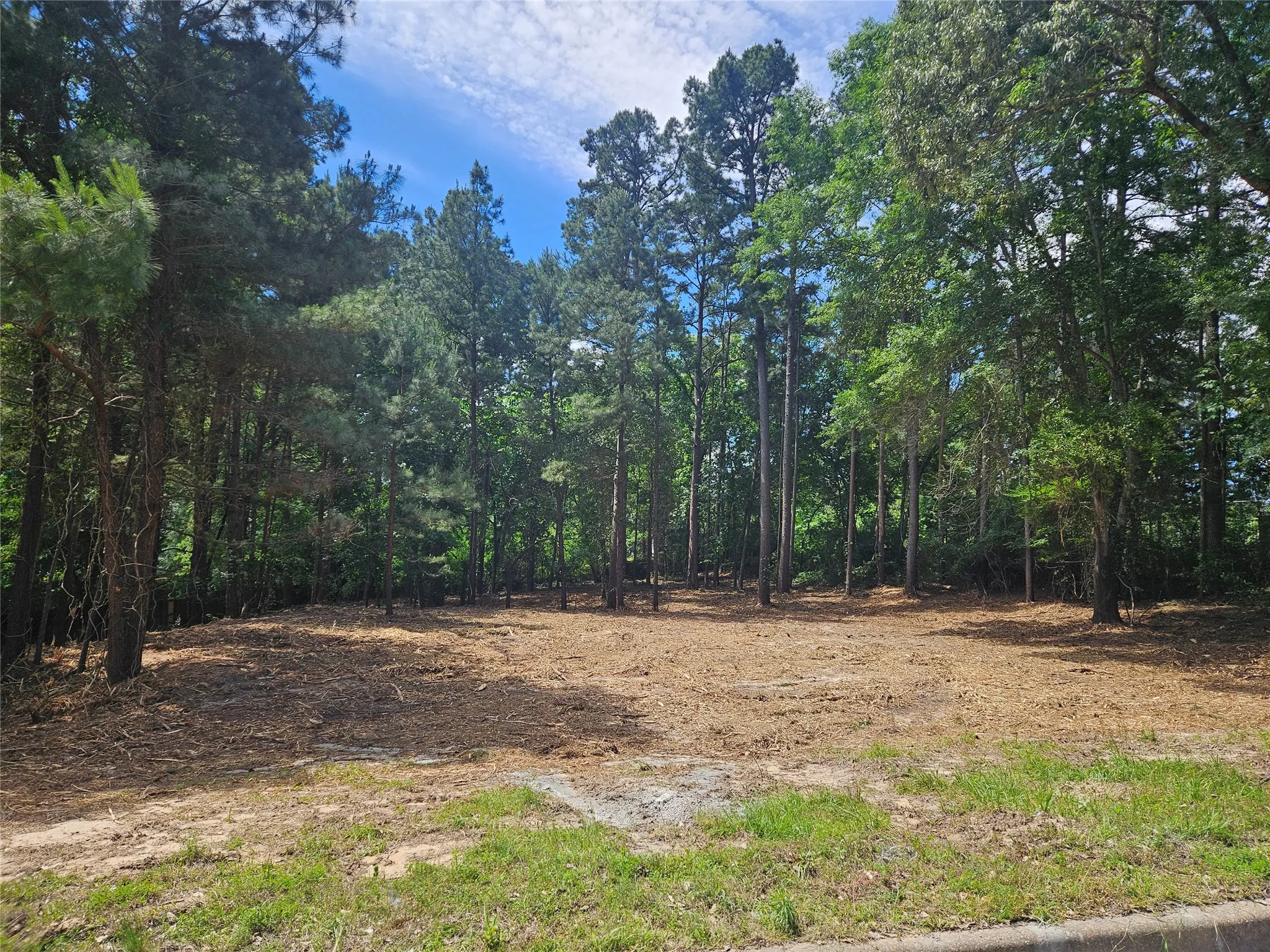 Unimproved Land For Sale in Smith County , 13311 White Tail Drive 1, Tyler, Texas 75707, 0, 0, Garage spaces, 0 Sqft, built in 0, Price $47,000, mls#21146347, Real Estate Agent in Tyler, Homes For Sale in Smith county, Homes For Sale in Tyler, Realtor in Tyler Texas, Real Estate Brokerage Independent Realty Texas, Luminita Cordes Realtor