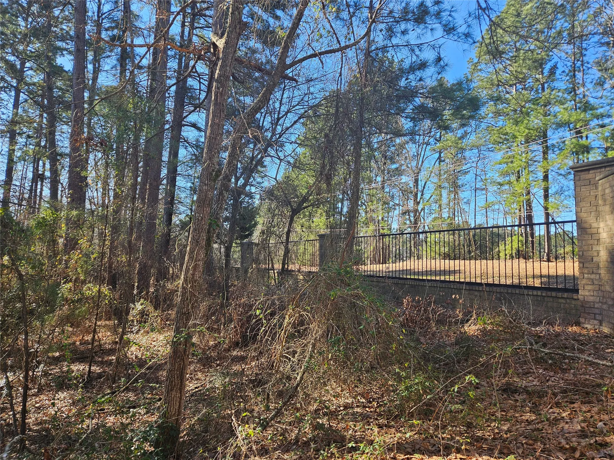 Unimproved Land For Sale in Smith County , 13311 White Tail Drive 1, Tyler, Texas 75707, 0, 0, Garage spaces, 0 Sqft, built in 0, Price $47,000, mls#21146347, Real Estate Agent in Tyler, Homes For Sale in Smith county, Homes For Sale in Tyler, Realtor in Tyler Texas, Real Estate Brokerage Independent Realty Texas, Luminita Cordes Realtor