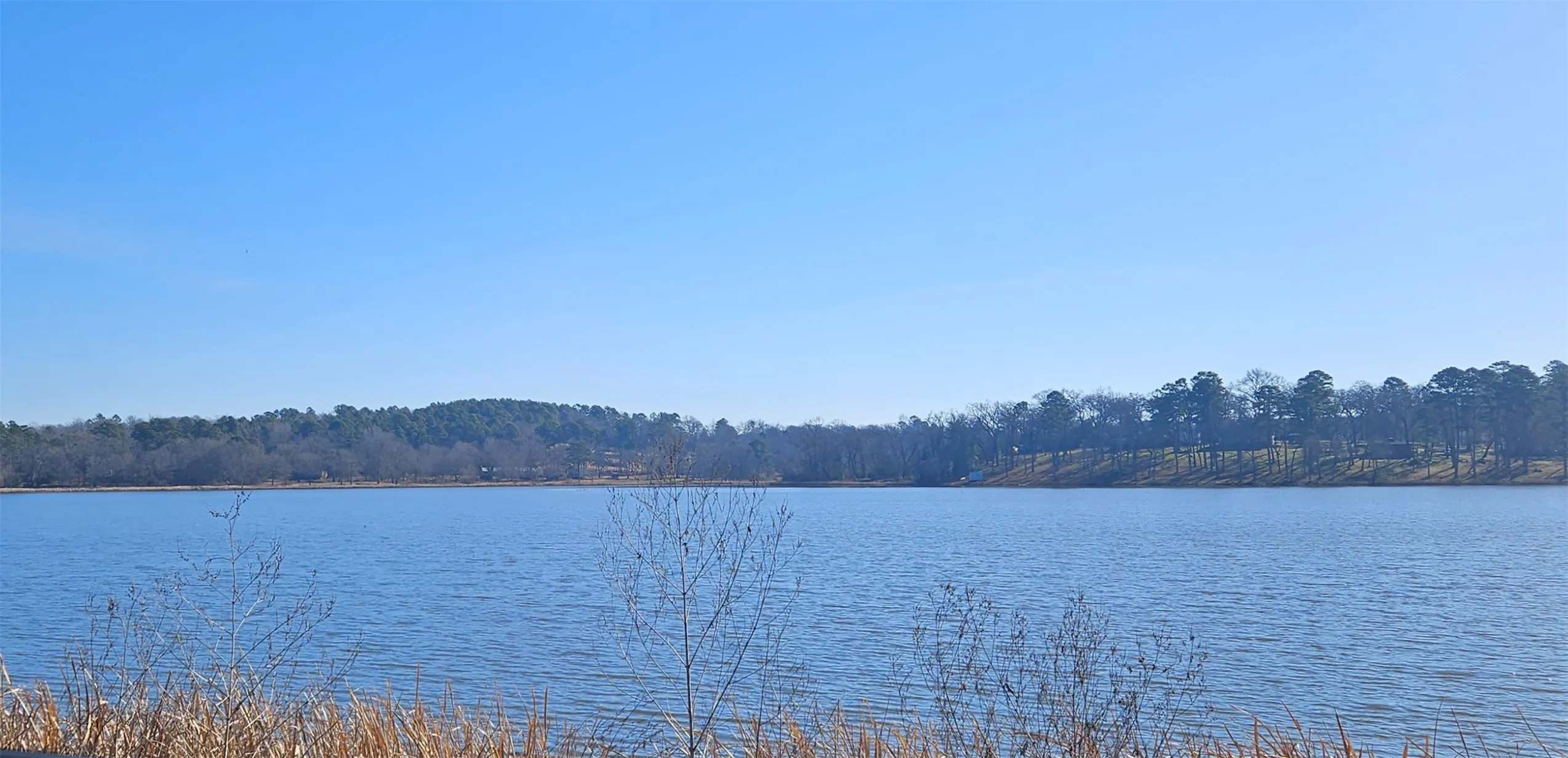 Unimproved Land For Sale in Smith County , 13311 White Tail Drive 1, Tyler, Texas 75707, 0, 0, Garage spaces, 0 Sqft, built in 0, Price $47,000, mls#21146347, Real Estate Agent in Tyler, Homes For Sale in Smith county, Homes For Sale in Tyler, Realtor in Tyler Texas, Real Estate Brokerage Independent Realty Texas, Luminita Cordes Realtor