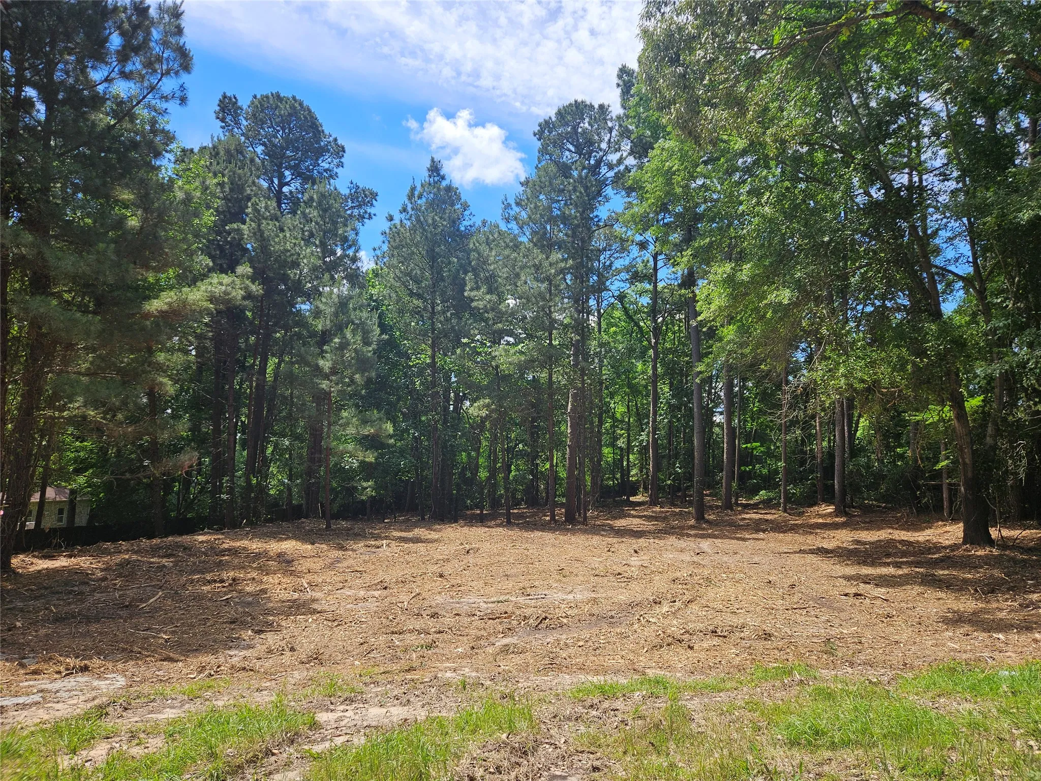 Unimproved Land For Sale in Smith County , 13311 White Tail Drive 1, Tyler, Texas 75707, 0, 0, Garage spaces, 0 Sqft, built in 0, Price $47,000, mls#21146347, Real Estate Agent in Tyler, Homes For Sale in Smith county, Homes For Sale in Tyler, Realtor in Tyler Texas, Real Estate Brokerage Independent Realty Texas, Luminita Cordes Realtor