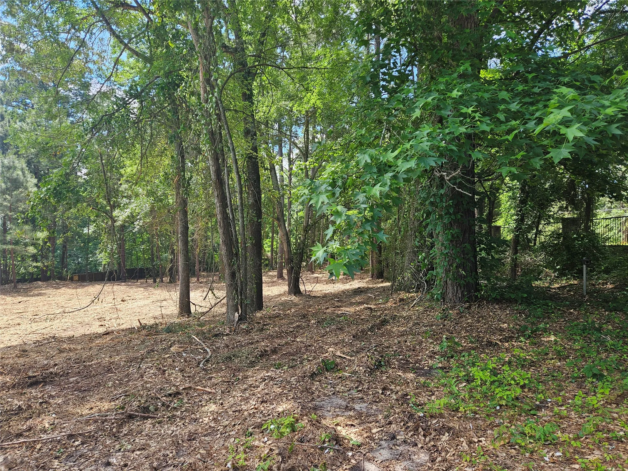 Unimproved Land For Sale in Smith County , 13311 White Tail Drive 1, Tyler, Texas 75707, 0, 0, Garage spaces, 0 Sqft, built in 0, Price $47,000, mls#21146347, Real Estate Agent in Tyler, Homes For Sale in Smith county, Homes For Sale in Tyler, Realtor in Tyler Texas, Real Estate Brokerage Independent Realty Texas, Luminita Cordes Realtor