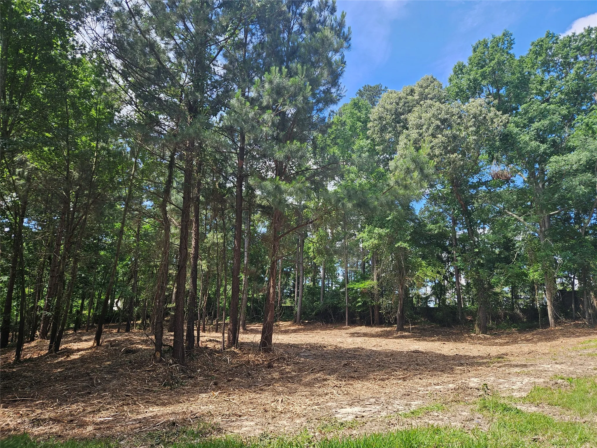 Unimproved Land For Sale in Smith County , 13311 White Tail Drive 1, Tyler, Texas 75707, 0, 0, Garage spaces, 0 Sqft, built in 0, Price $47,000, mls#21146347, Real Estate Agent in Tyler, Homes For Sale in Smith county, Homes For Sale in Tyler, Realtor in Tyler Texas, Real Estate Brokerage Independent Realty Texas, Luminita Cordes Realtor