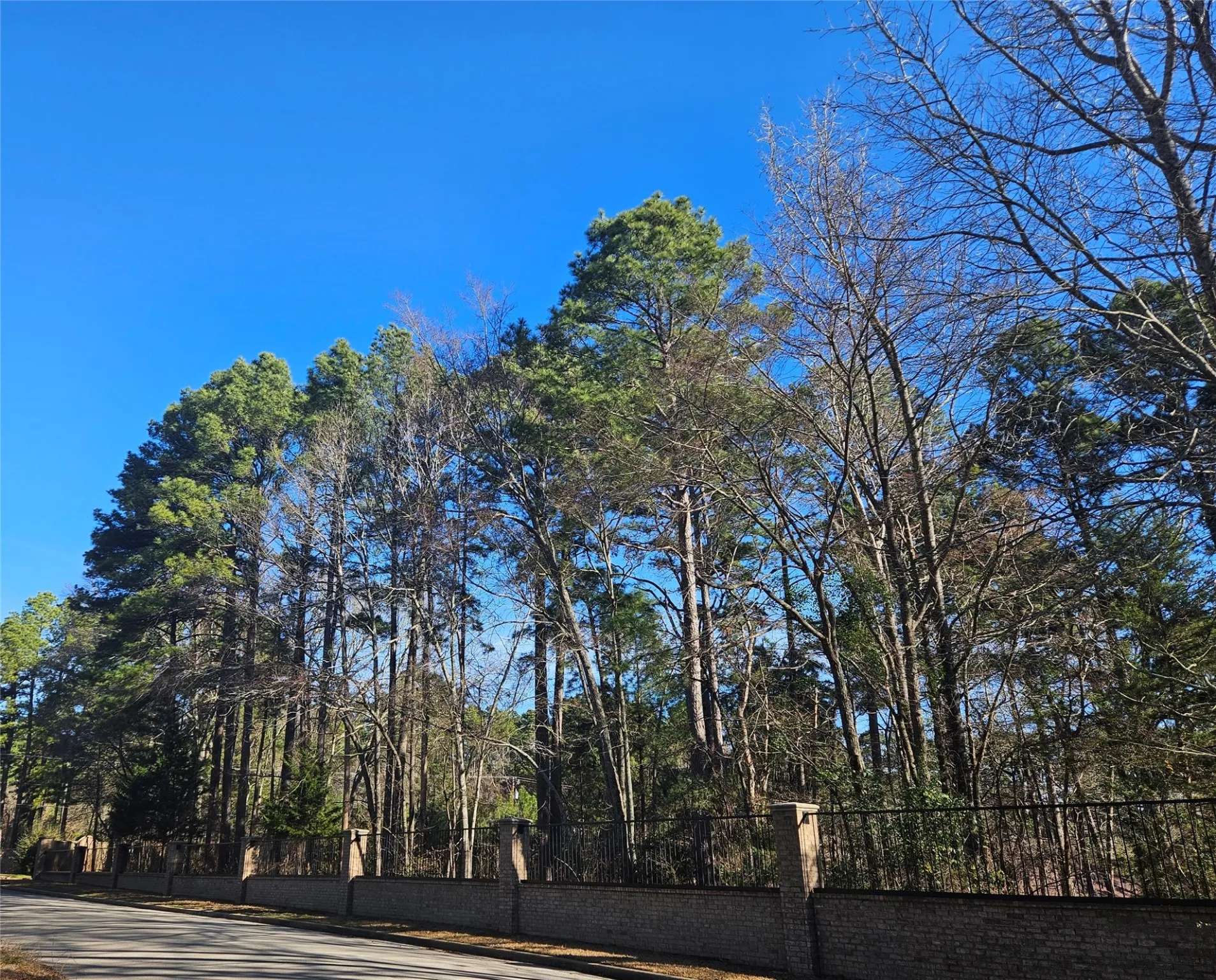 Unimproved Land For Sale in Smith County , 13311 White Tail Drive 1, Tyler, Texas 75707, 0, 0, Garage spaces, 0 Sqft, built in 0, Price $47,000, mls#21146347, Real Estate Agent in Tyler, Homes For Sale in Smith county, Homes For Sale in Tyler, Realtor in Tyler Texas, Real Estate Brokerage Independent Realty Texas, Luminita Cordes Realtor