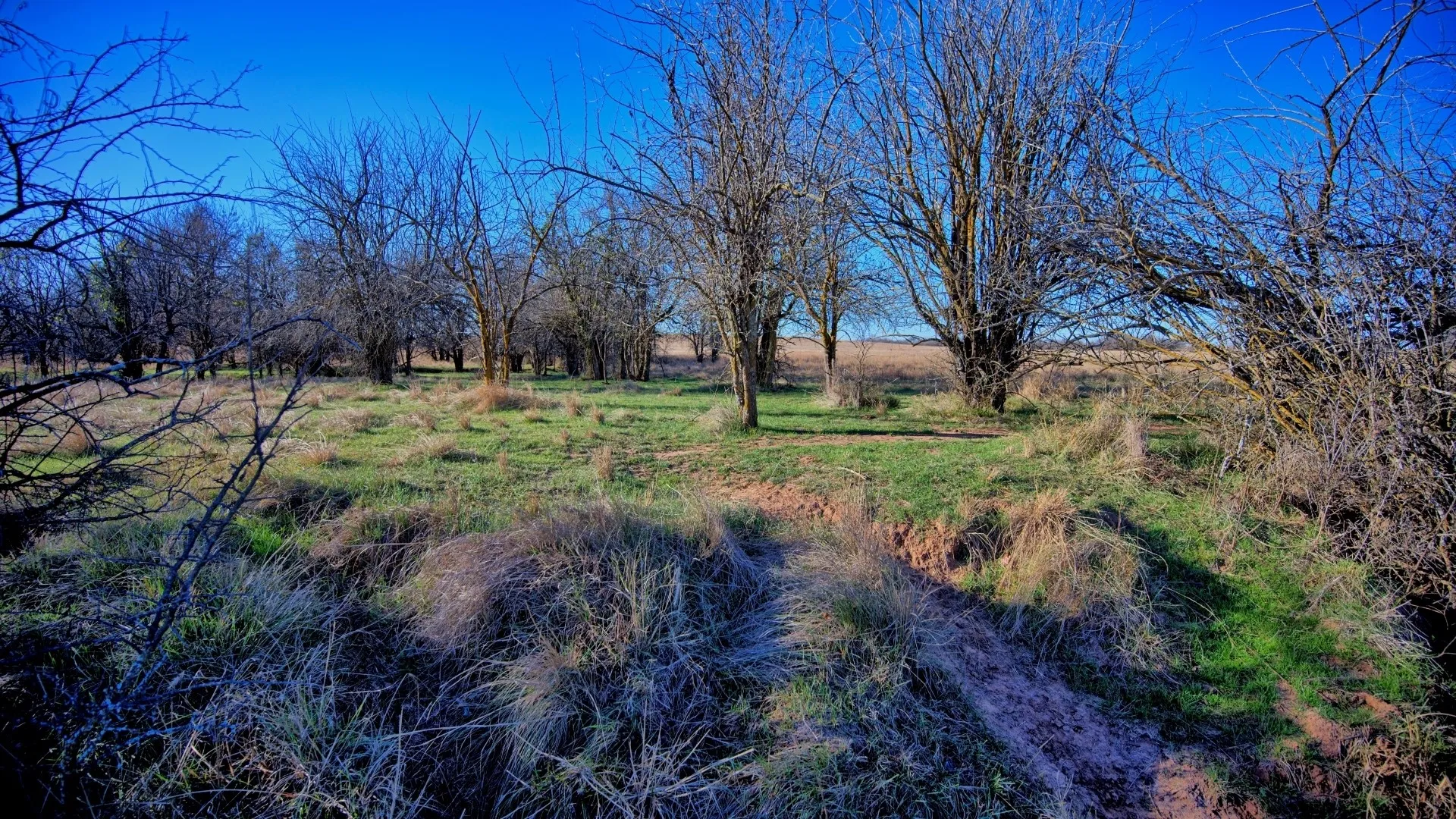 Ranch For Sale in Clay County , TBD HWY 148, Petrolia, Texas 76377, 0, 0, Garage spaces, 0 Sqft, built in 0, Price $11,500,724, mls#21146395, Real Estate Agent in Petrolia, Homes For Sale in Clay county, Homes For Sale in Petrolia, Realtor in Petrolia Texas, Real Estate Brokerage Independent Realty Texas, Luminita Cordes Realtor