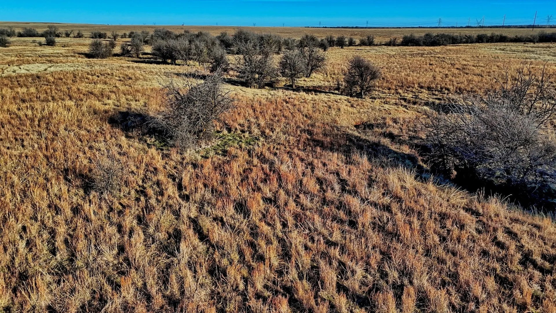 Ranch For Sale in Clay County , TBD HWY 148, Petrolia, Texas 76377, 0, 0, Garage spaces, 0 Sqft, built in 0, Price $11,500,724, mls#21146395, Real Estate Agent in Petrolia, Homes For Sale in Clay county, Homes For Sale in Petrolia, Realtor in Petrolia Texas, Real Estate Brokerage Independent Realty Texas, Luminita Cordes Realtor