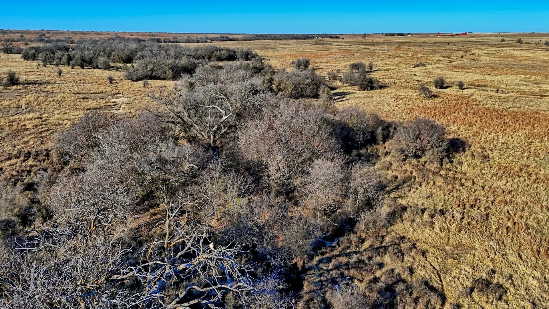 Ranch For Sale in Clay County , TBD HWY 148, Petrolia, Texas 76377, 0, 0, Garage spaces, 0 Sqft, built in 0, Price $11,500,724, mls#21146395, Real Estate Agent in Petrolia, Homes For Sale in Clay county, Homes For Sale in Petrolia, Realtor in Petrolia Texas, Real Estate Brokerage Independent Realty Texas, Luminita Cordes Realtor