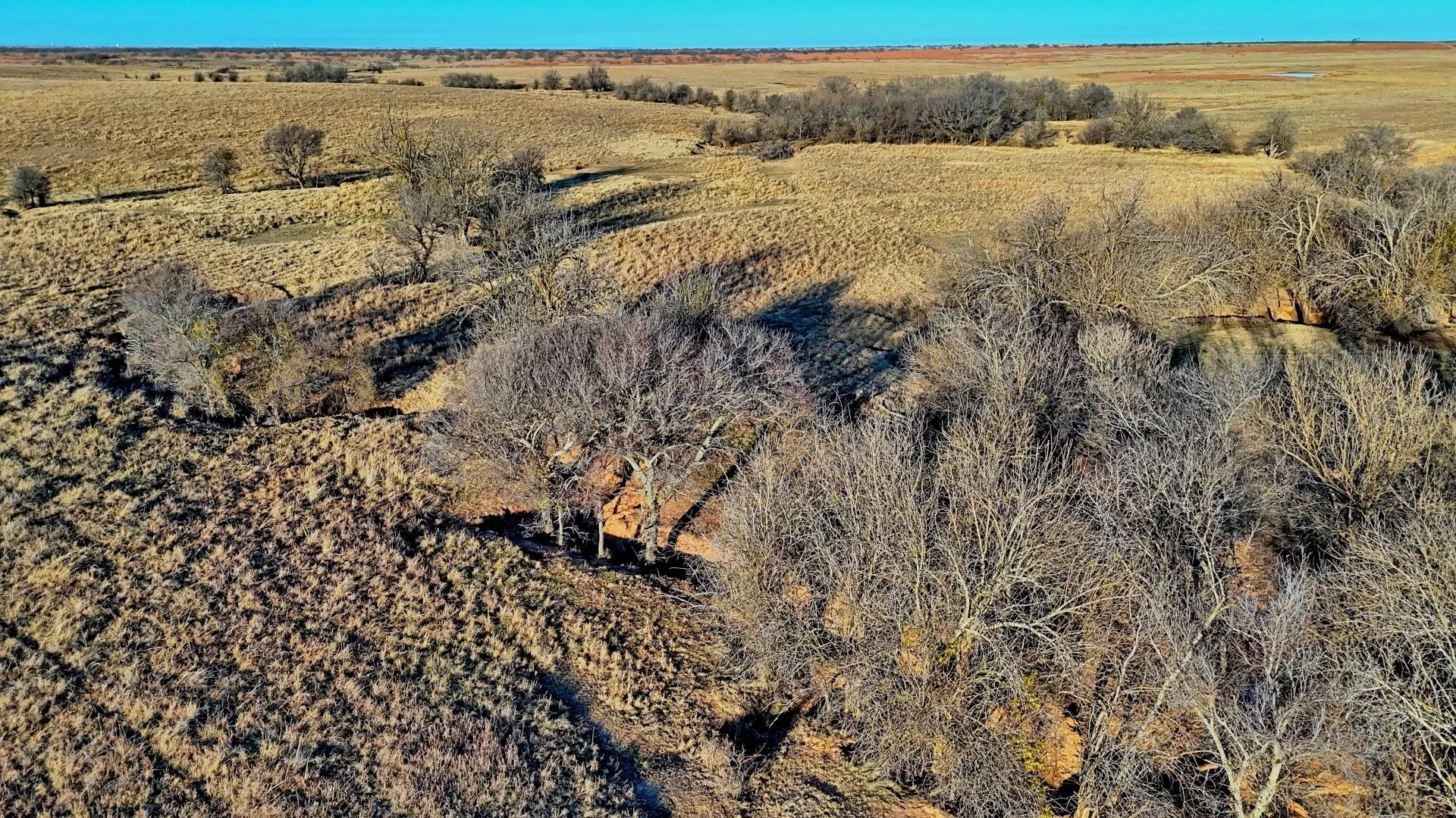 Ranch For Sale in Clay County , TBD HWY 148, Petrolia, Texas 76377, 0, 0, Garage spaces, 0 Sqft, built in 0, Price $11,500,724, mls#21146395, Real Estate Agent in Petrolia, Homes For Sale in Clay county, Homes For Sale in Petrolia, Realtor in Petrolia Texas, Real Estate Brokerage Independent Realty Texas, Luminita Cordes Realtor