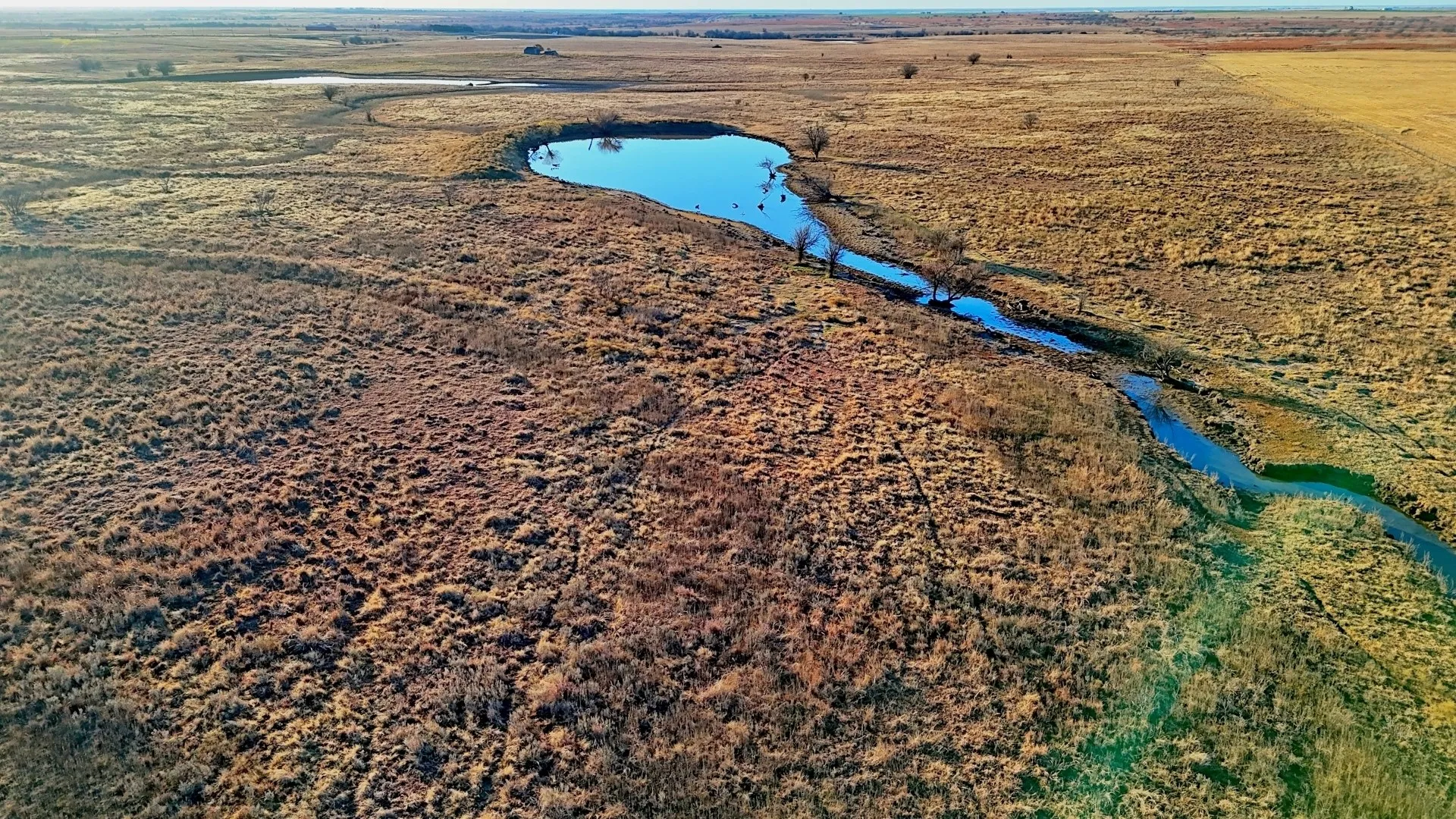 Ranch For Sale in Clay County , TBD HWY 148, Petrolia, Texas 76377, 0, 0, Garage spaces, 0 Sqft, built in 0, Price $11,500,724, mls#21146395, Real Estate Agent in Petrolia, Homes For Sale in Clay county, Homes For Sale in Petrolia, Realtor in Petrolia Texas, Real Estate Brokerage Independent Realty Texas, Luminita Cordes Realtor