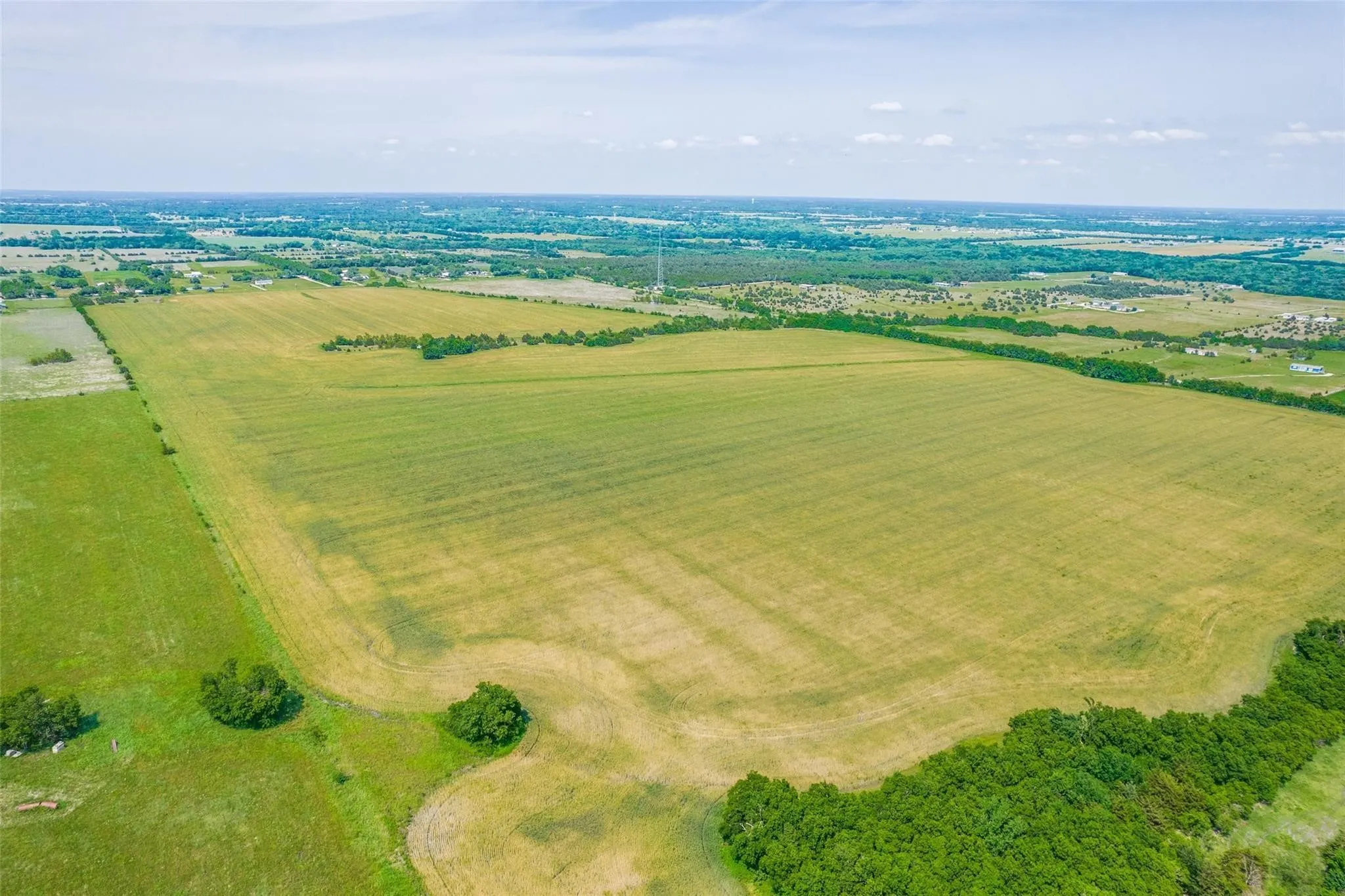 Unimproved Land For Sale in Hunt County , 9999 County Road 1121, Farmersville, Texas 75442, 0, 0, Garage spaces, 0 Sqft, built in 0, mls#21146409, Real Estate Agent in Farmersville, Homes For Sale in Hunt county, Homes For Sale in Farmersville, Realtor in Farmersville Texas, Real Estate Brokerage Independent Realty Texas, Luminita Cordes Realtor