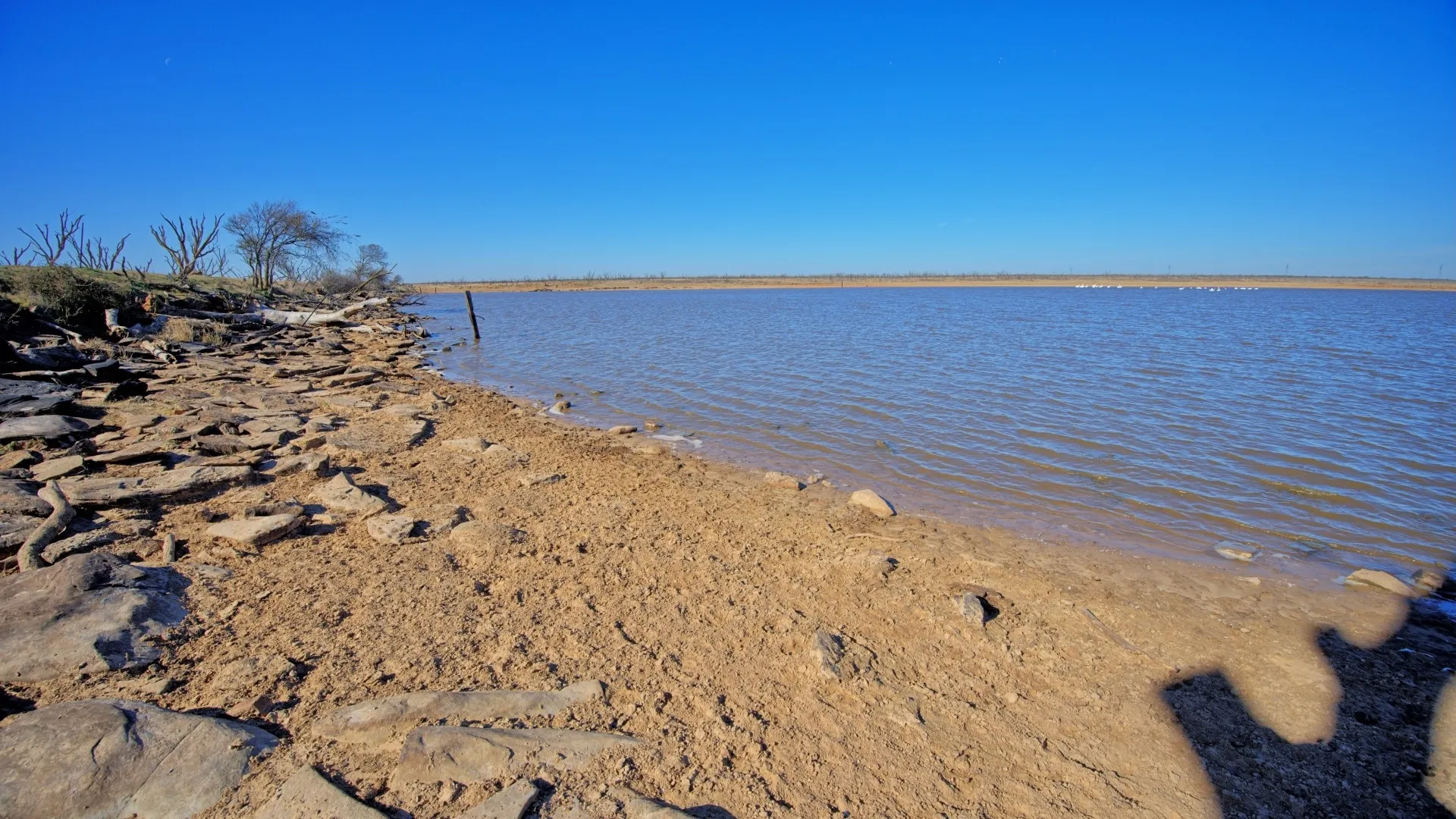 Ranch For Sale in Clay County , TBD HWY 79, Wichita Falls, Texas 76305, 0, 0, Garage spaces, 0 Sqft, built in 0, Price $7,334,670, mls#21146463, Real Estate Agent in Wichita Falls, Homes For Sale in Clay county, Homes For Sale in Wichita Falls, Realtor in Wichita Falls Texas, Real Estate Brokerage Independent Realty Texas, Luminita Cordes Realtor