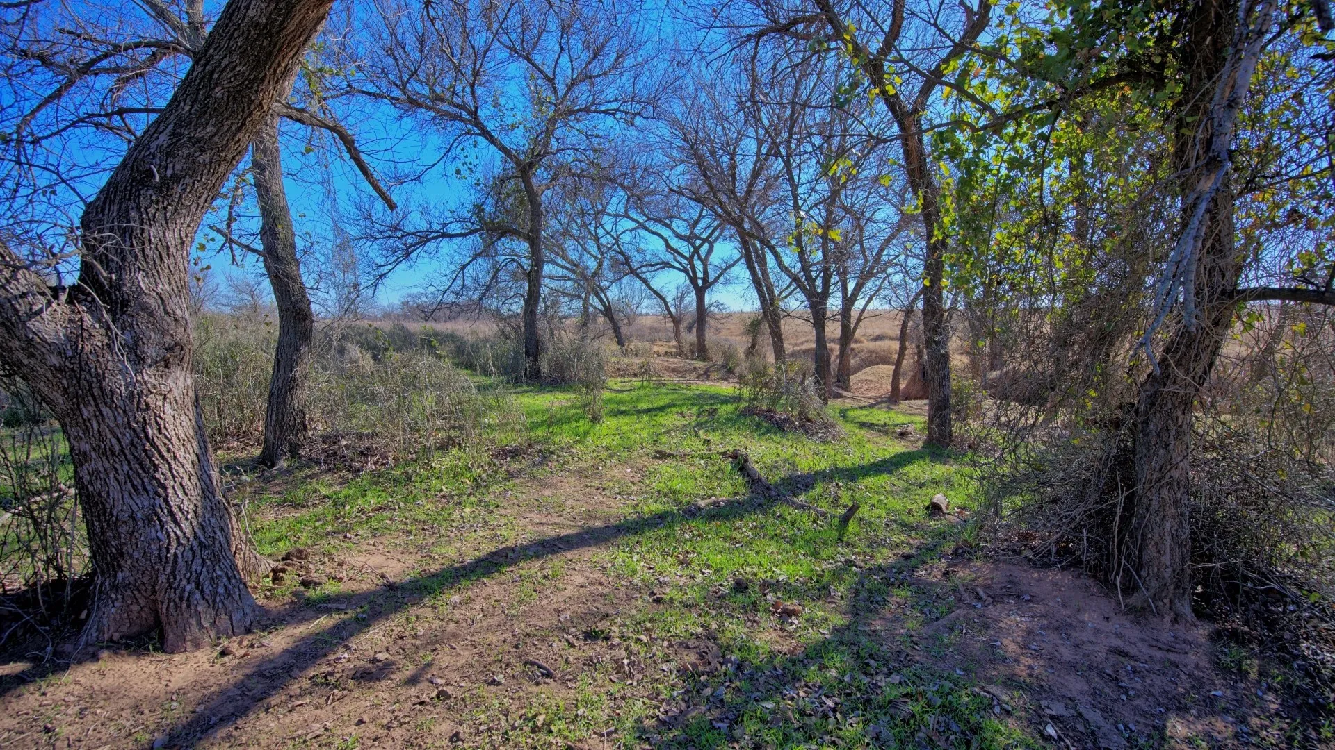 Ranch For Sale in Clay County , TBD HWY 79, Wichita Falls, Texas 76305, 0, 0, Garage spaces, 0 Sqft, built in 0, Price $7,334,670, mls#21146463, Real Estate Agent in Wichita Falls, Homes For Sale in Clay county, Homes For Sale in Wichita Falls, Realtor in Wichita Falls Texas, Real Estate Brokerage Independent Realty Texas, Luminita Cordes Realtor