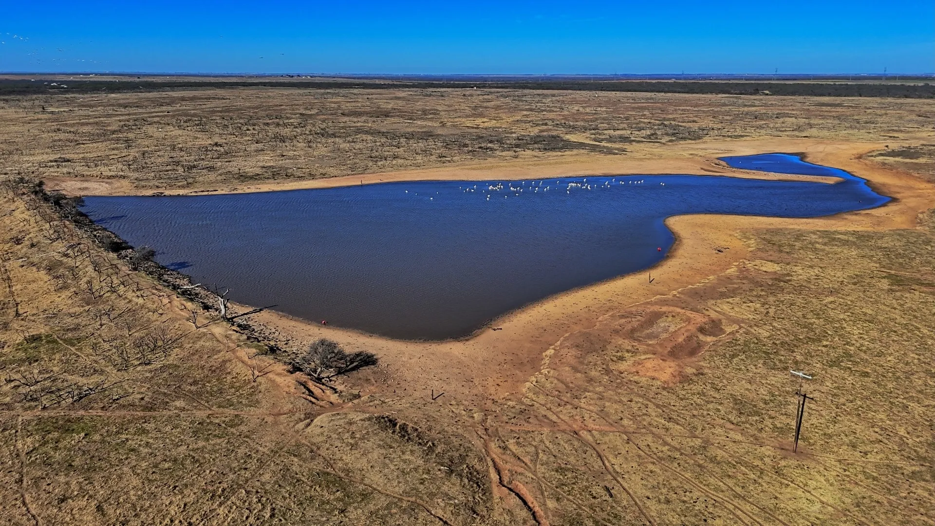Ranch For Sale in Clay County , TBD HWY 79, Wichita Falls, Texas 76305, 0, 0, Garage spaces, 0 Sqft, built in 0, Price $7,334,670, mls#21146463, Real Estate Agent in Wichita Falls, Homes For Sale in Clay county, Homes For Sale in Wichita Falls, Realtor in Wichita Falls Texas, Real Estate Brokerage Independent Realty Texas, Luminita Cordes Realtor