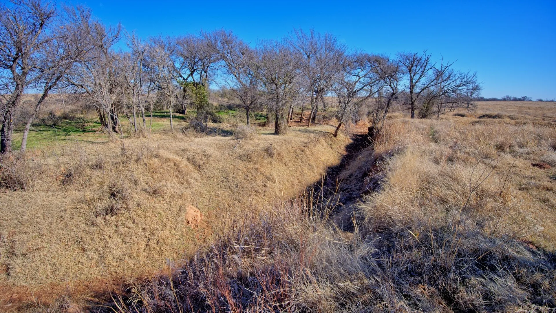 Ranch For Sale in Clay County , TBD HWY 79, Wichita Falls, Texas 76305, 0, 0, Garage spaces, 0 Sqft, built in 0, Price $7,334,670, mls#21146463, Real Estate Agent in Wichita Falls, Homes For Sale in Clay county, Homes For Sale in Wichita Falls, Realtor in Wichita Falls Texas, Real Estate Brokerage Independent Realty Texas, Luminita Cordes Realtor