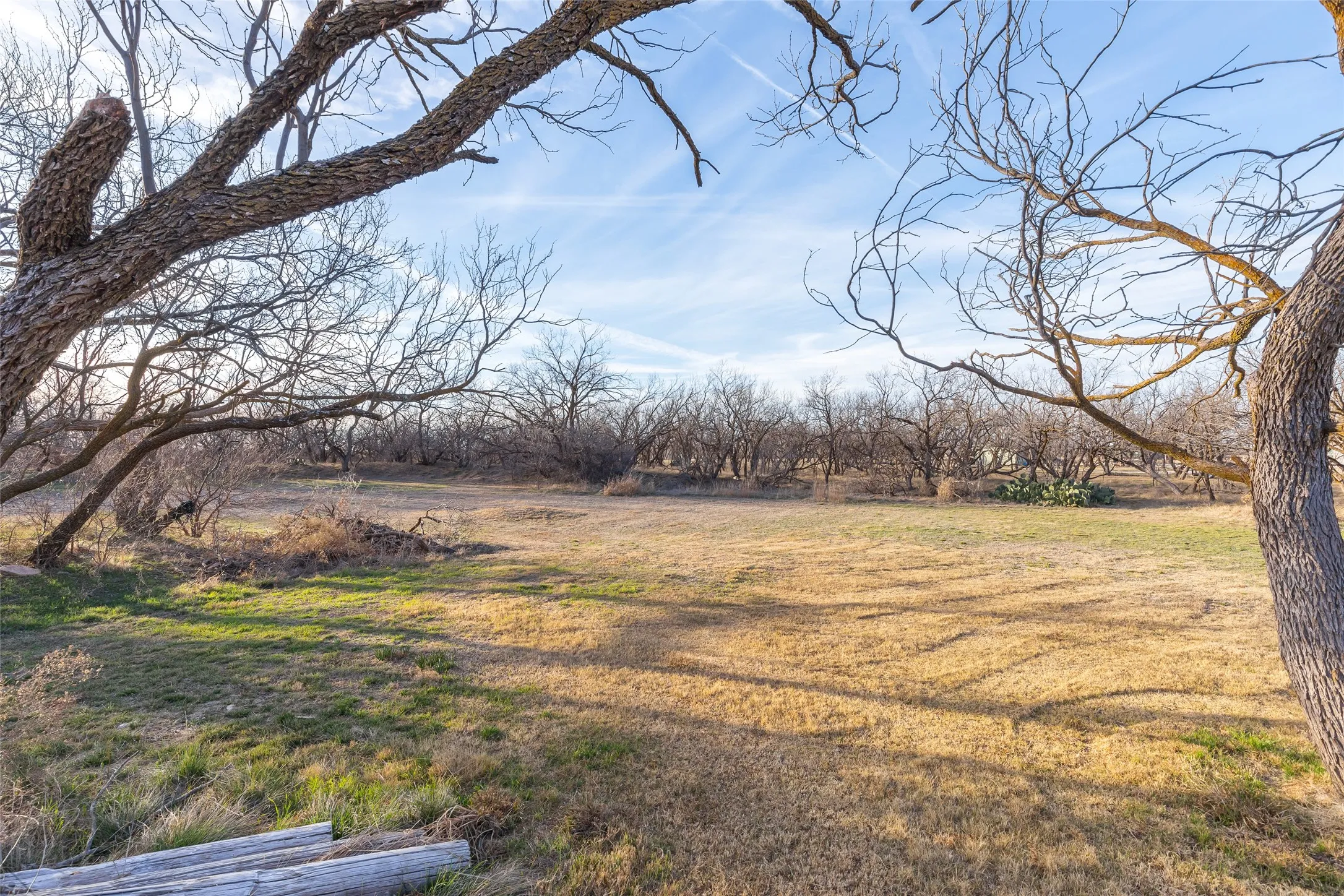 Farm For Sale in Callahan County , 6370 County Road 107, Abilene, Texas 79601, 5 Bedroom, 3 Bathroom, Garage spaces, 1,920 Sqft, built in 2013, mls#21145304, Real Estate Agent in Abilene, Homes For Sale in Callahan county, Homes For Sale in Abilene, Realtor in Abilene Texas, Real Estate Brokerage Independent Realty Texas, Luminita Cordes Realtor