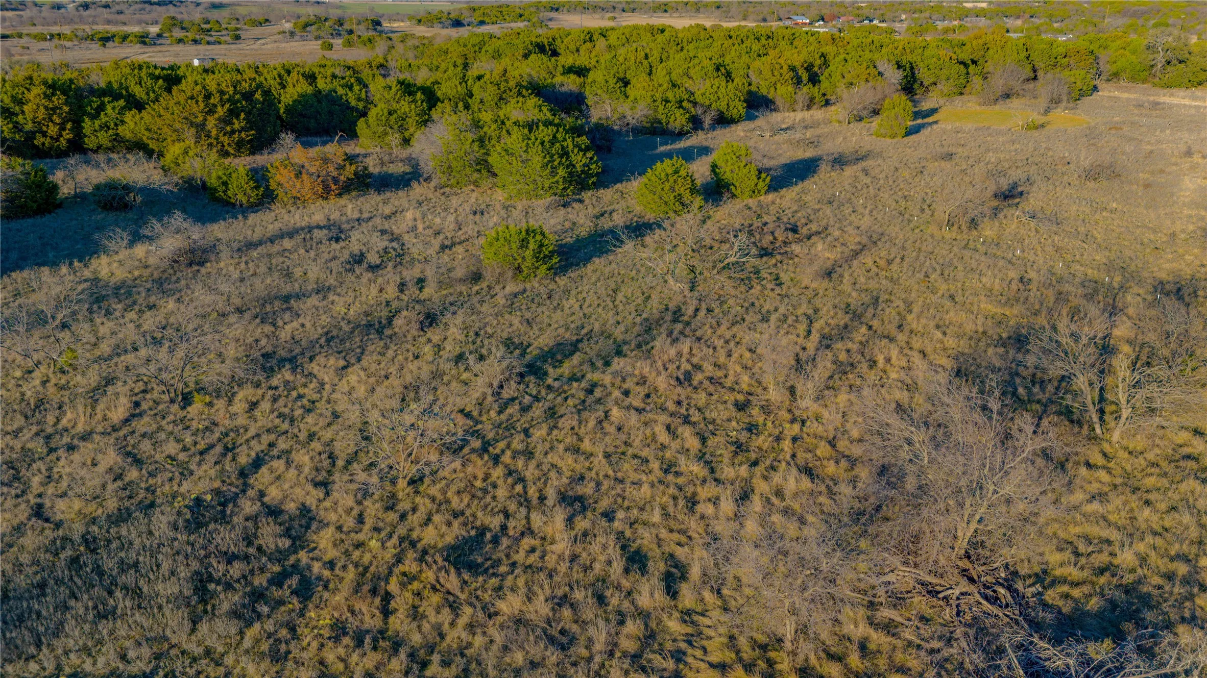 Ranch For Sale in Palo Pinto County , 11060 254 Highway, Graford, Texas 76449, 0, 0, Garage spaces, 0 Sqft, built in 0, Price $550,000, mls#21146705, Real Estate Agent in Graford, Homes For Sale in Palo Pinto county, Homes For Sale in Graford, Realtor in Graford Texas, Real Estate Brokerage Independent Realty Texas, Luminita Cordes Realtor