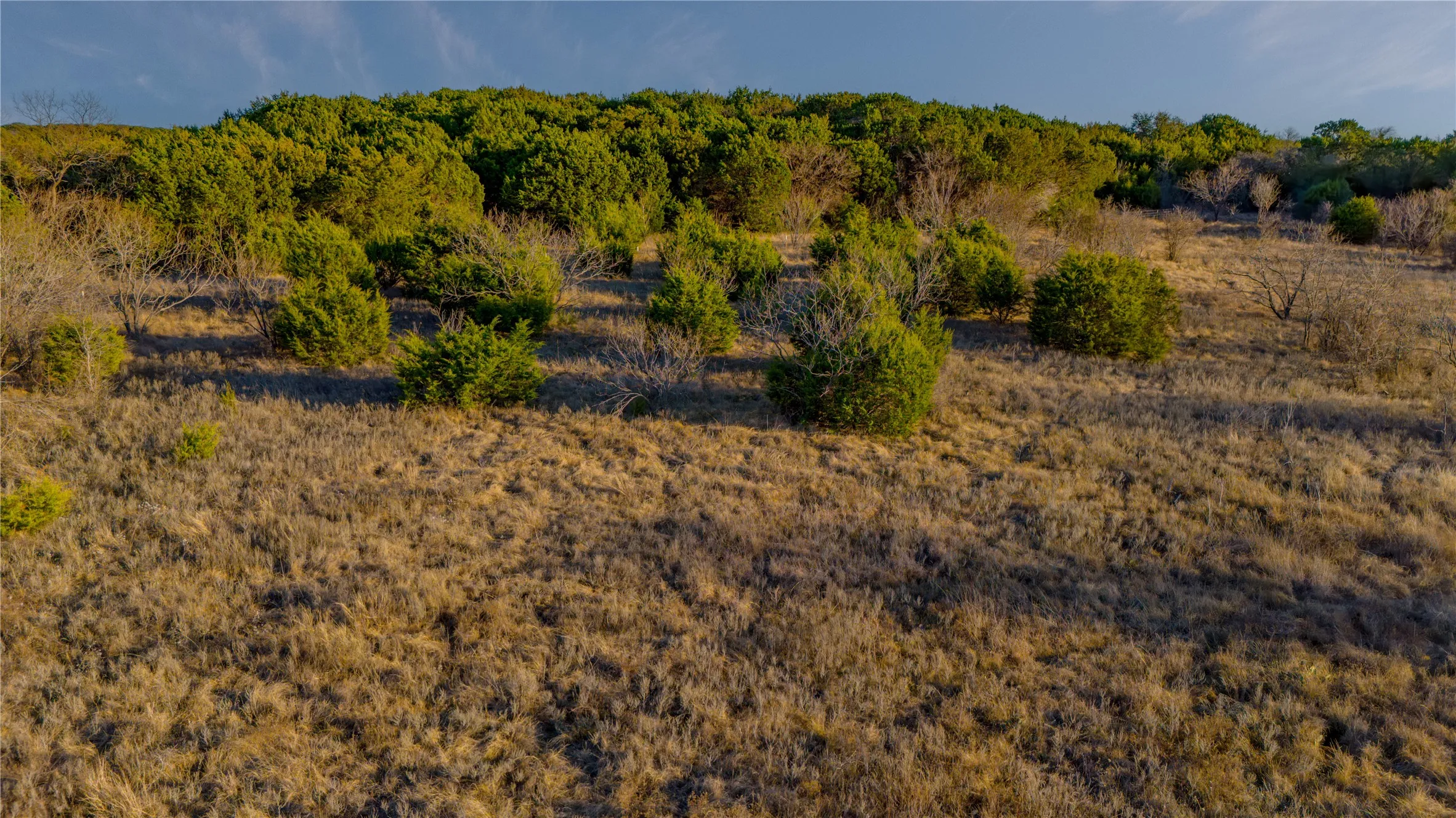 Ranch For Sale in Palo Pinto County , 11060 254 Highway, Graford, Texas 76449, 0, 0, Garage spaces, 0 Sqft, built in 0, Price $550,000, mls#21146705, Real Estate Agent in Graford, Homes For Sale in Palo Pinto county, Homes For Sale in Graford, Realtor in Graford Texas, Real Estate Brokerage Independent Realty Texas, Luminita Cordes Realtor