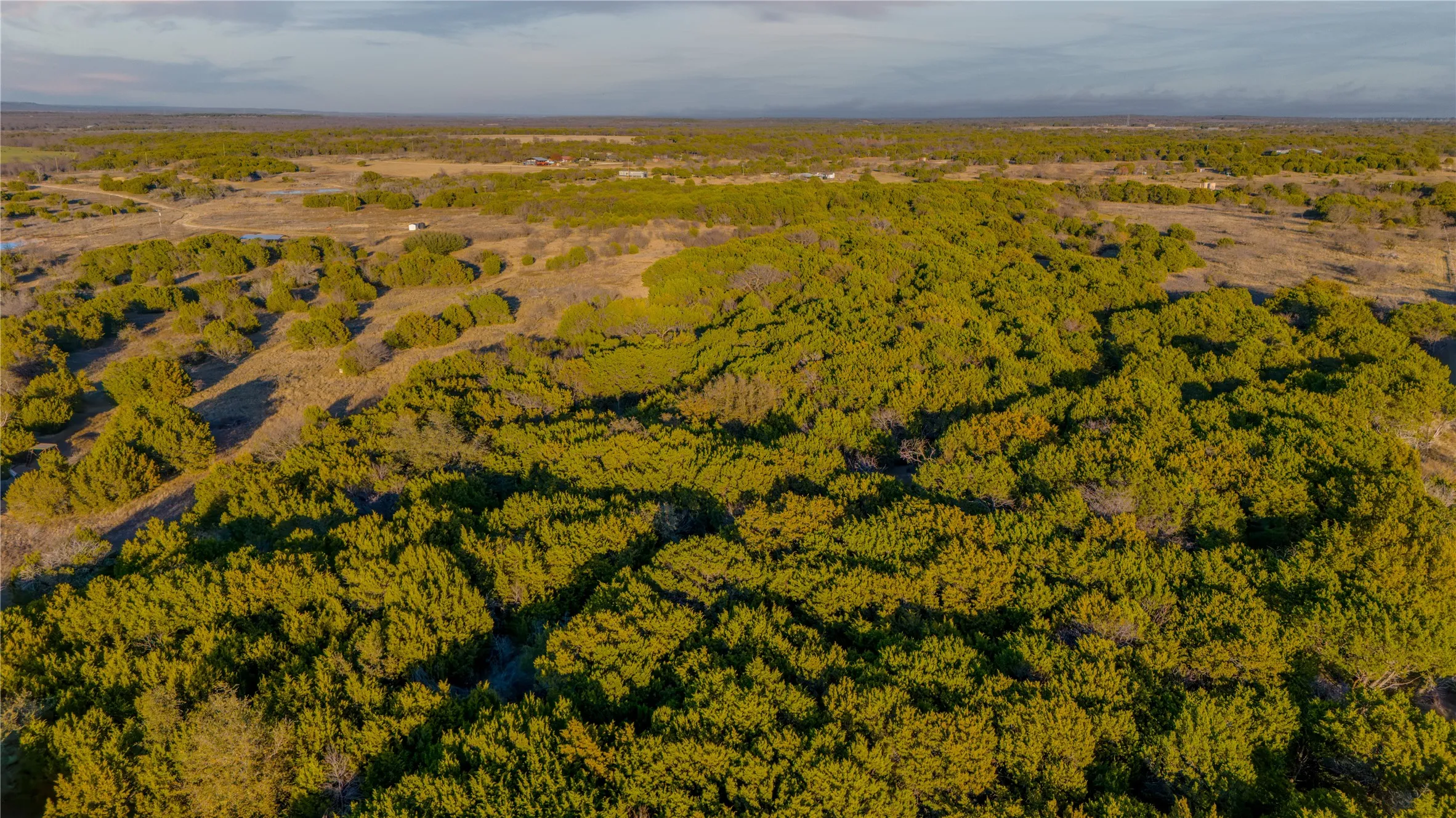 Ranch For Sale in Palo Pinto County , 11060 254 Highway, Graford, Texas 76449, 0, 0, Garage spaces, 0 Sqft, built in 0, Price $550,000, mls#21146705, Real Estate Agent in Graford, Homes For Sale in Palo Pinto county, Homes For Sale in Graford, Realtor in Graford Texas, Real Estate Brokerage Independent Realty Texas, Luminita Cordes Realtor