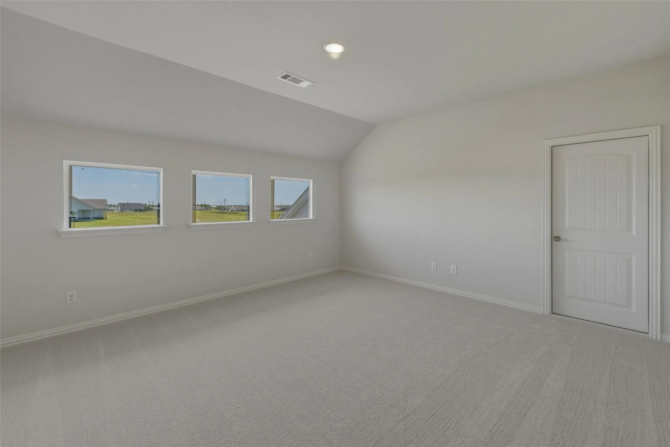 Expansive room featuring light gray carpeting, three horizontal windows with white trim, and a paneled white door