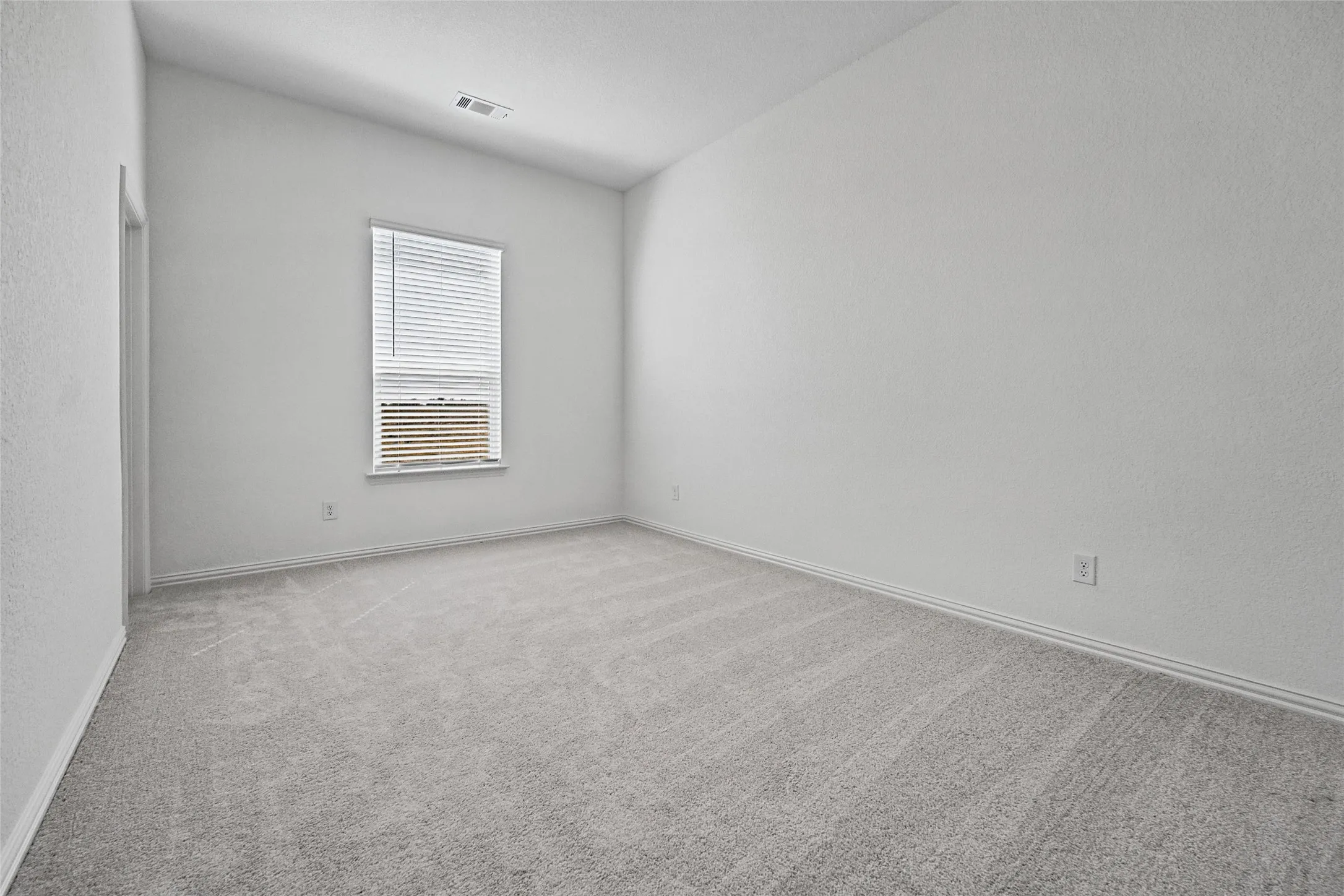 Wall-to-wall carpeting, single window with blinds, light neutral wall paint, and white trim