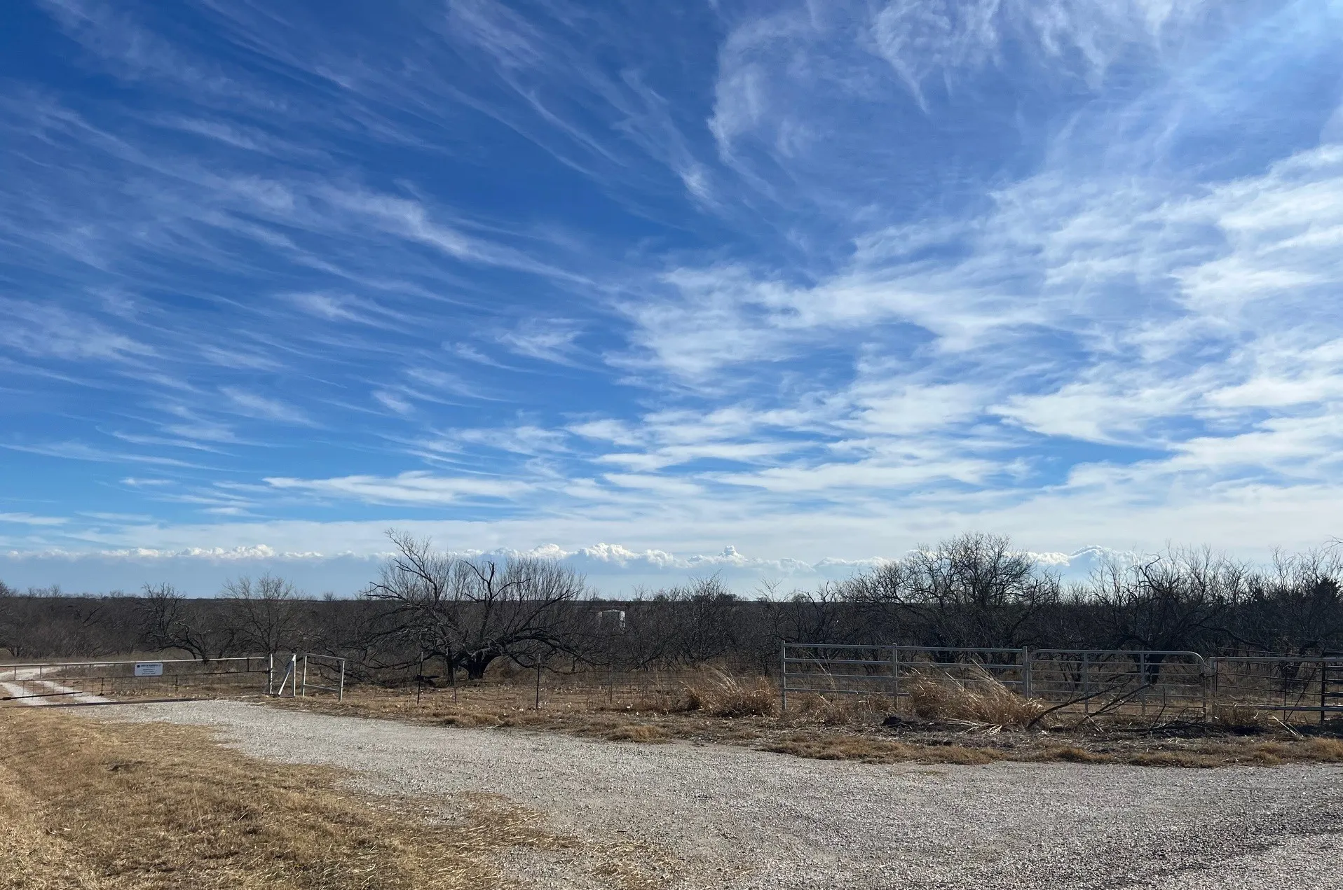 Unimproved Land For Sale in Grayson County , TBD Wright Road, Sherman, Texas 75092, 0, 0, Garage spaces, 0 Sqft, built in 0, Price $1,048,090, mls#21146942, Real Estate Agent in Sherman, Homes For Sale in Grayson county, Homes For Sale in Sherman, Realtor in Sherman Texas, Real Estate Brokerage Independent Realty Texas, Luminita Cordes Realtor