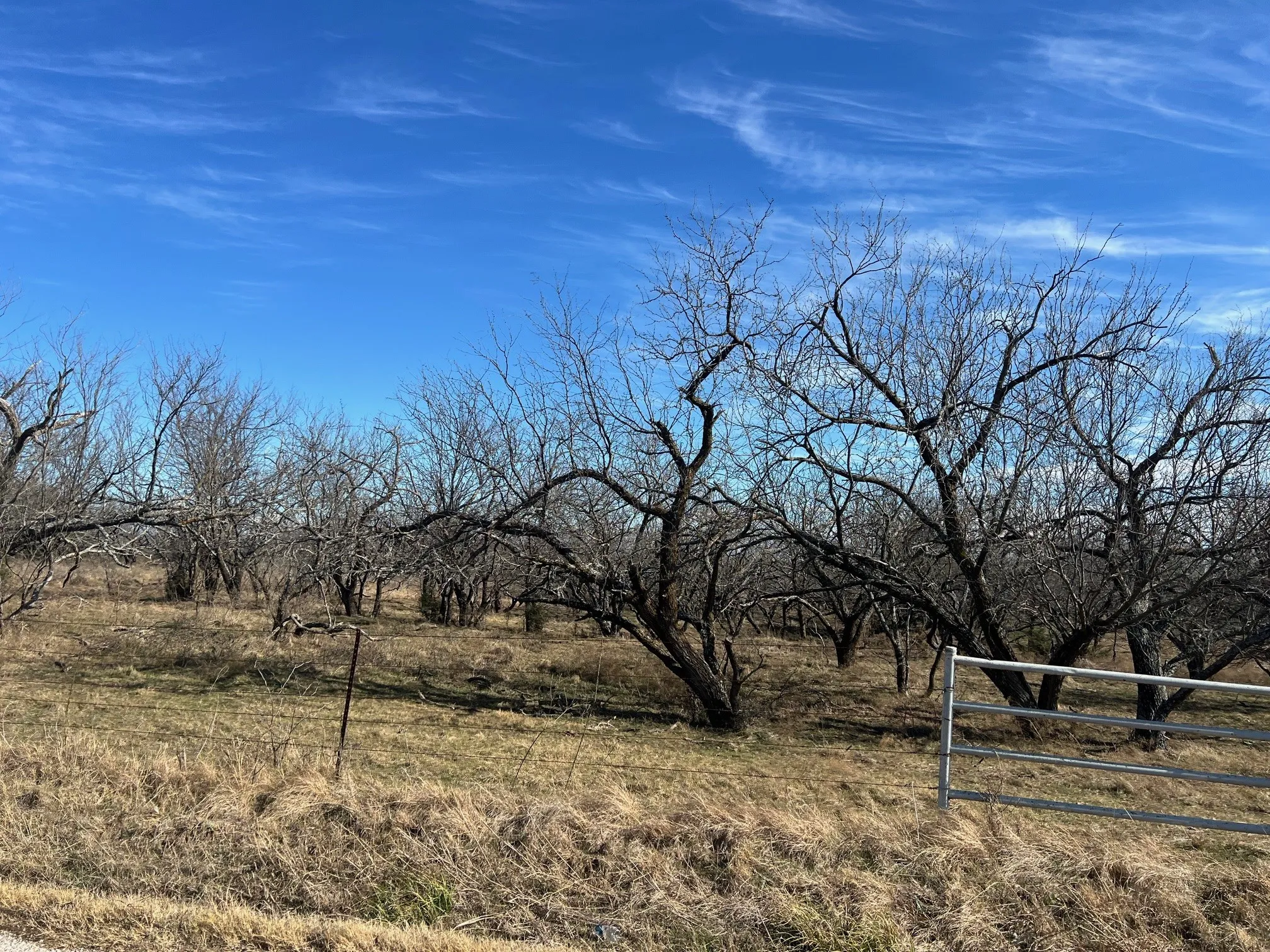 Unimproved Land For Sale in Grayson County , TBD Wright Road, Sherman, Texas 75092, 0, 0, Garage spaces, 0 Sqft, built in 0, Price $1,048,090, mls#21146942, Real Estate Agent in Sherman, Homes For Sale in Grayson county, Homes For Sale in Sherman, Realtor in Sherman Texas, Real Estate Brokerage Independent Realty Texas, Luminita Cordes Realtor